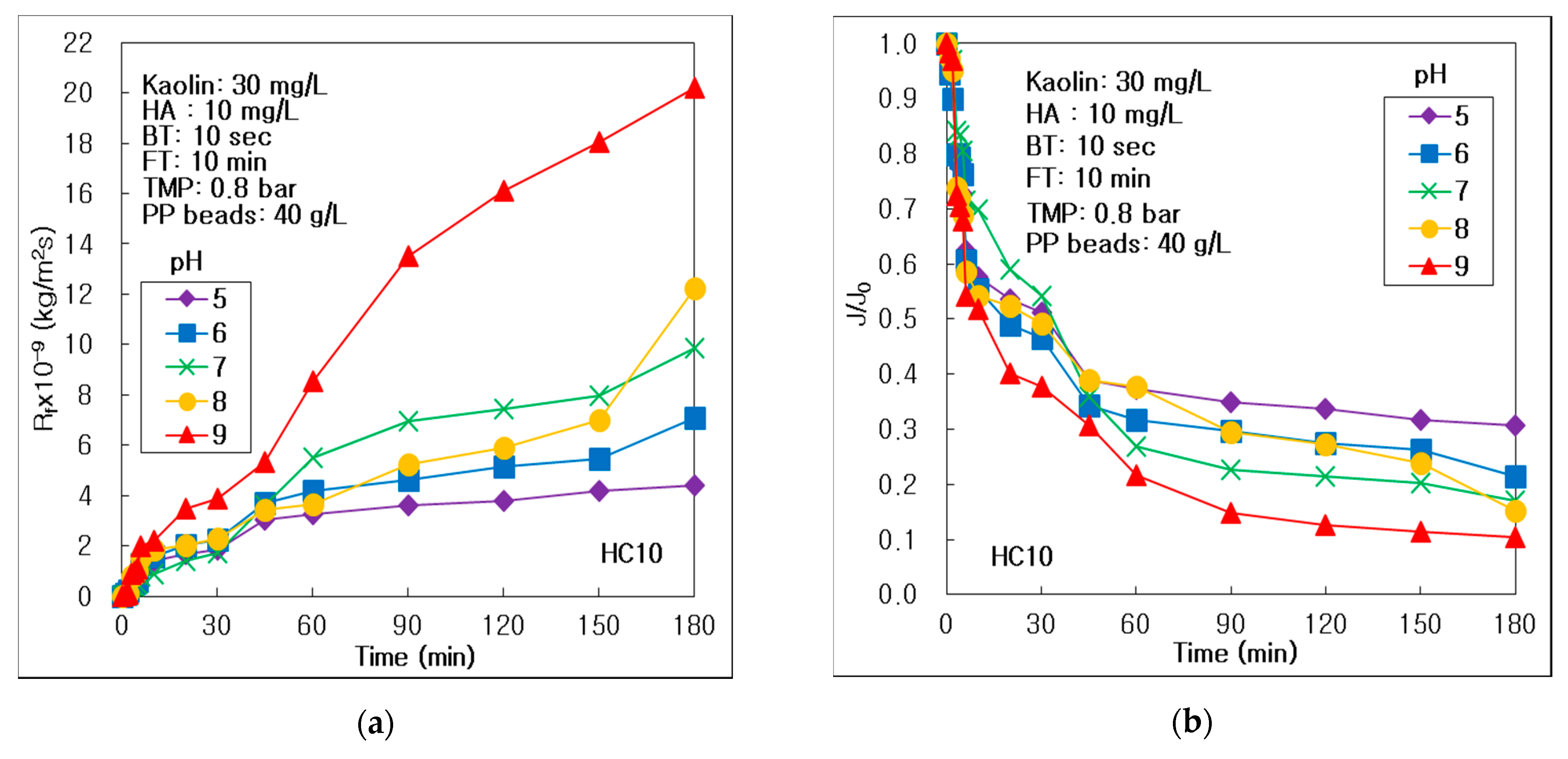 Membranes 10 00003 g004