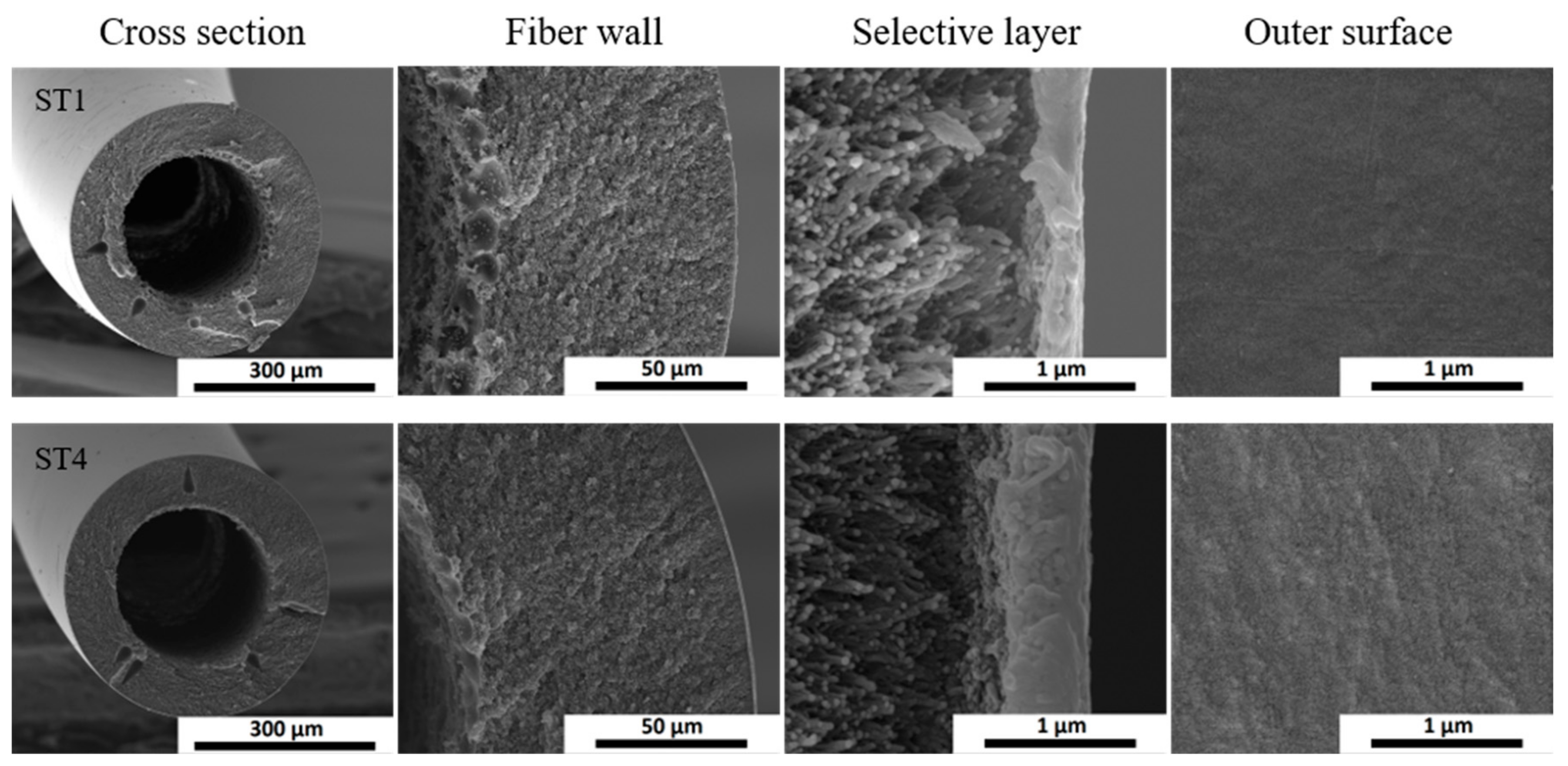 Membranes 10 00004 g007 Membranes 10 00004 g007