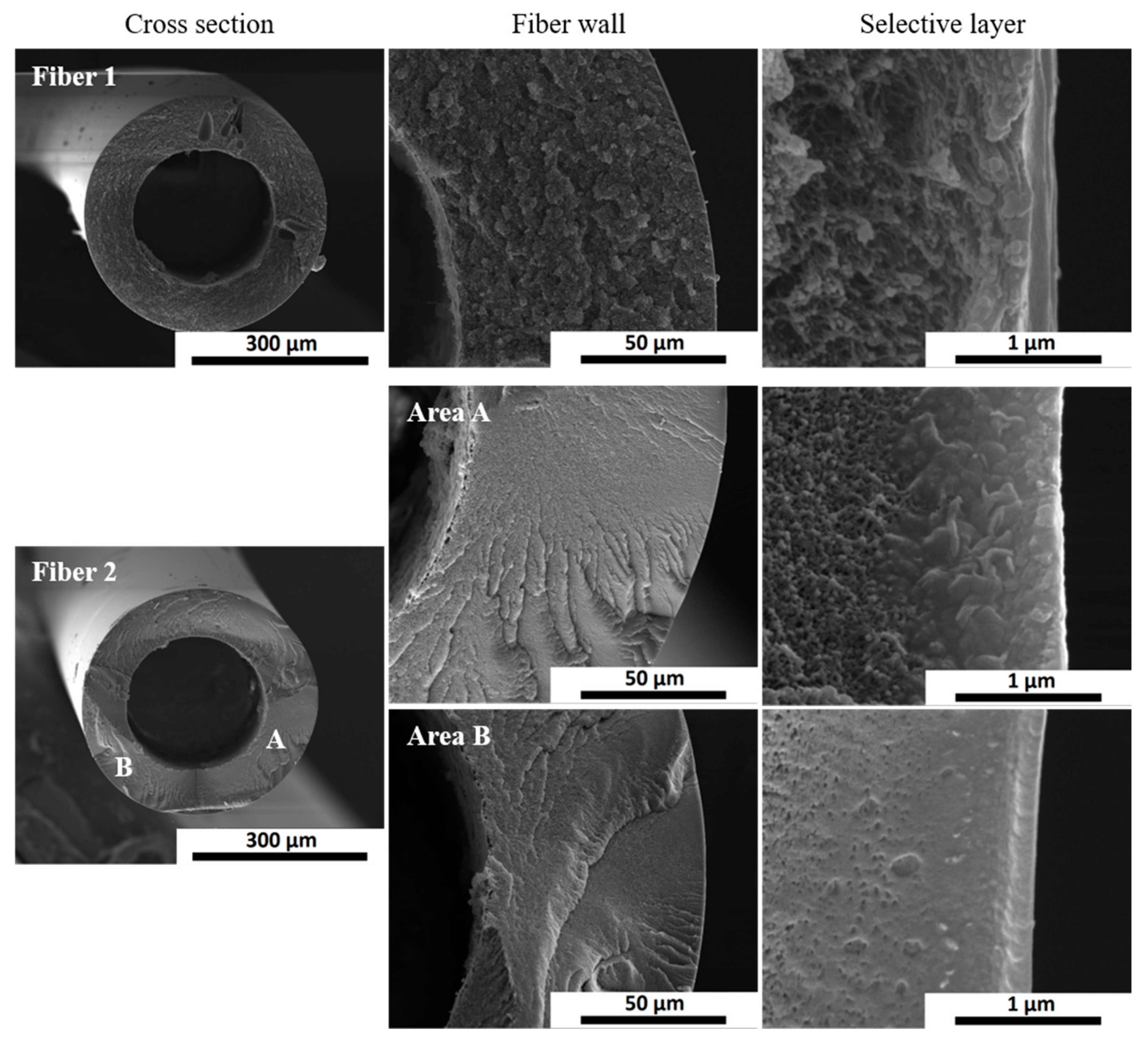 Membranes 10 00004 g008 Membranes 10 00004 g008