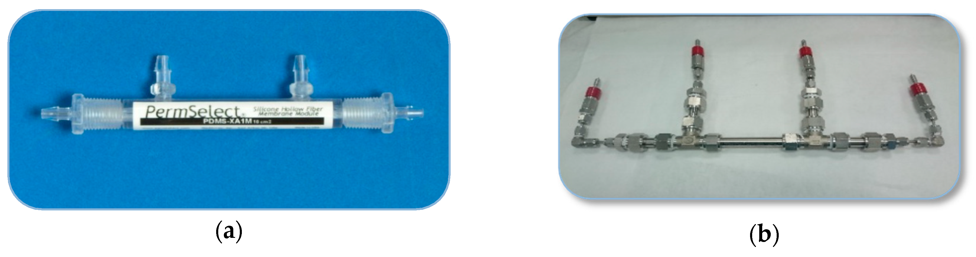 Membranes 10 00006 g002 Membranes 10 00006 g002