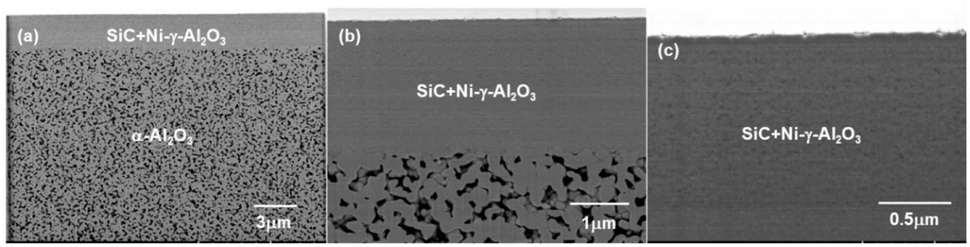 Membranes 10 00011 g005