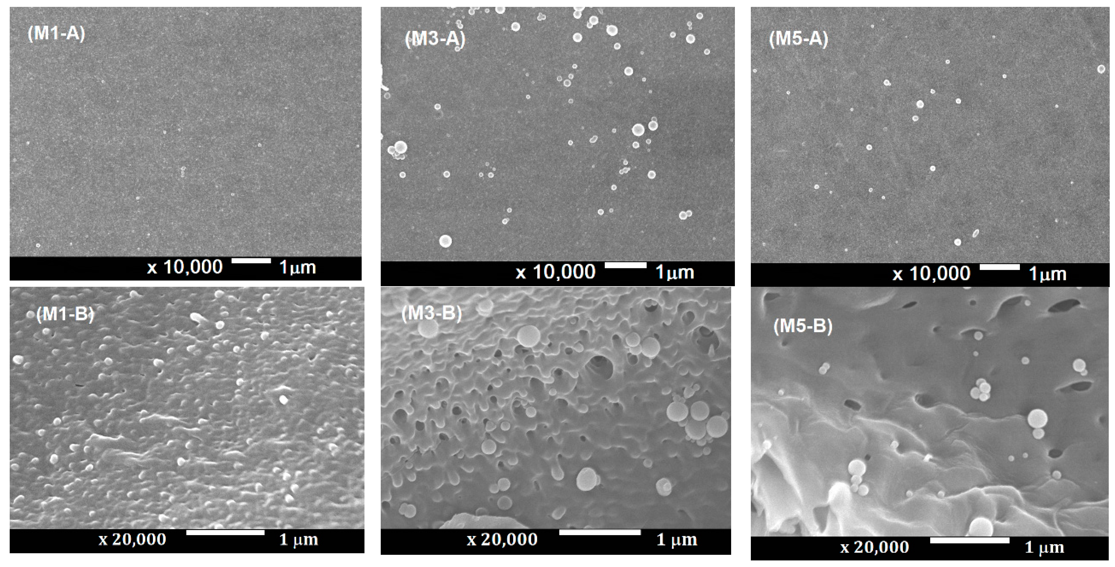 Membranes 10 00017 g001 Membranes 10 00017 g001