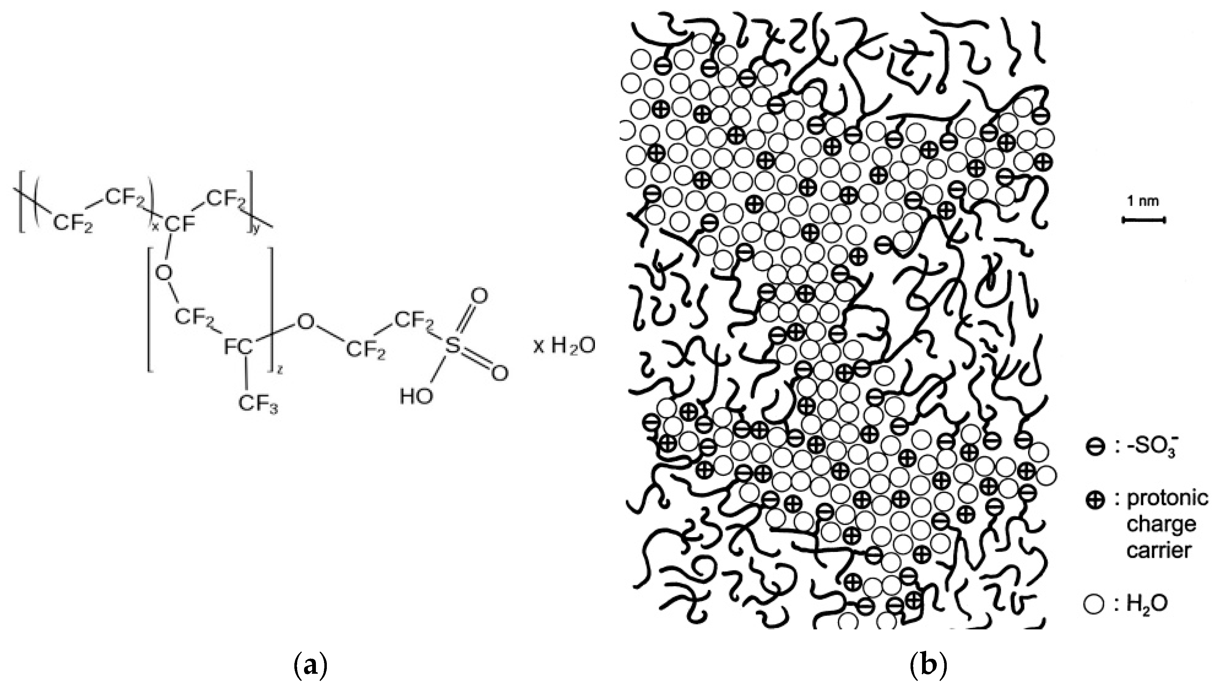 Membranes 10 00020 g001 Membranes 10 00020 g001