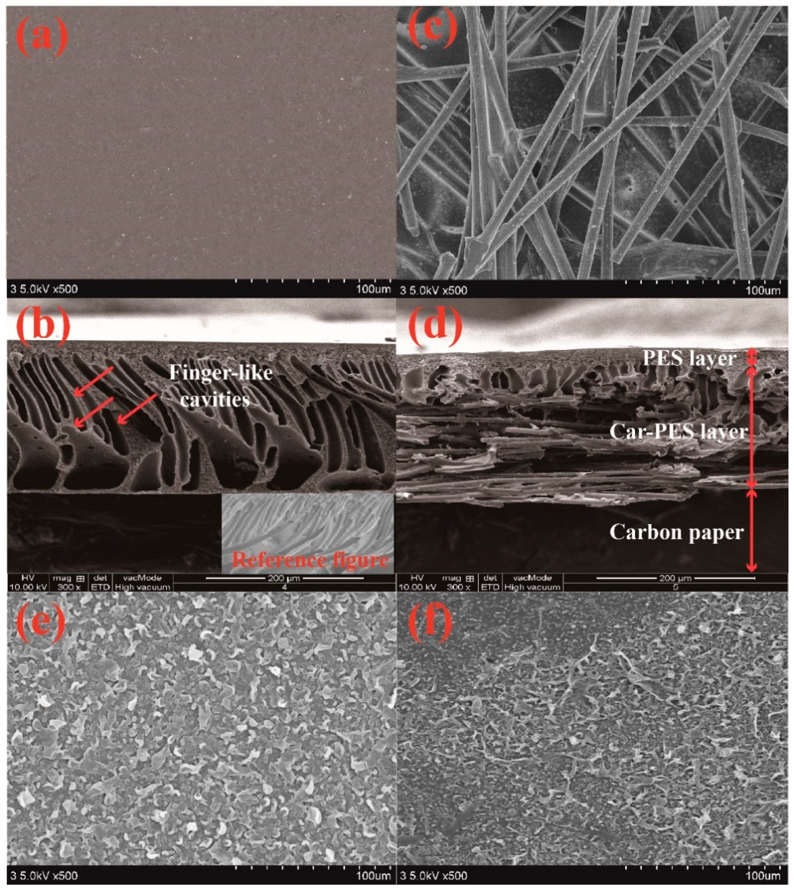 Membranes 10 00021 g002