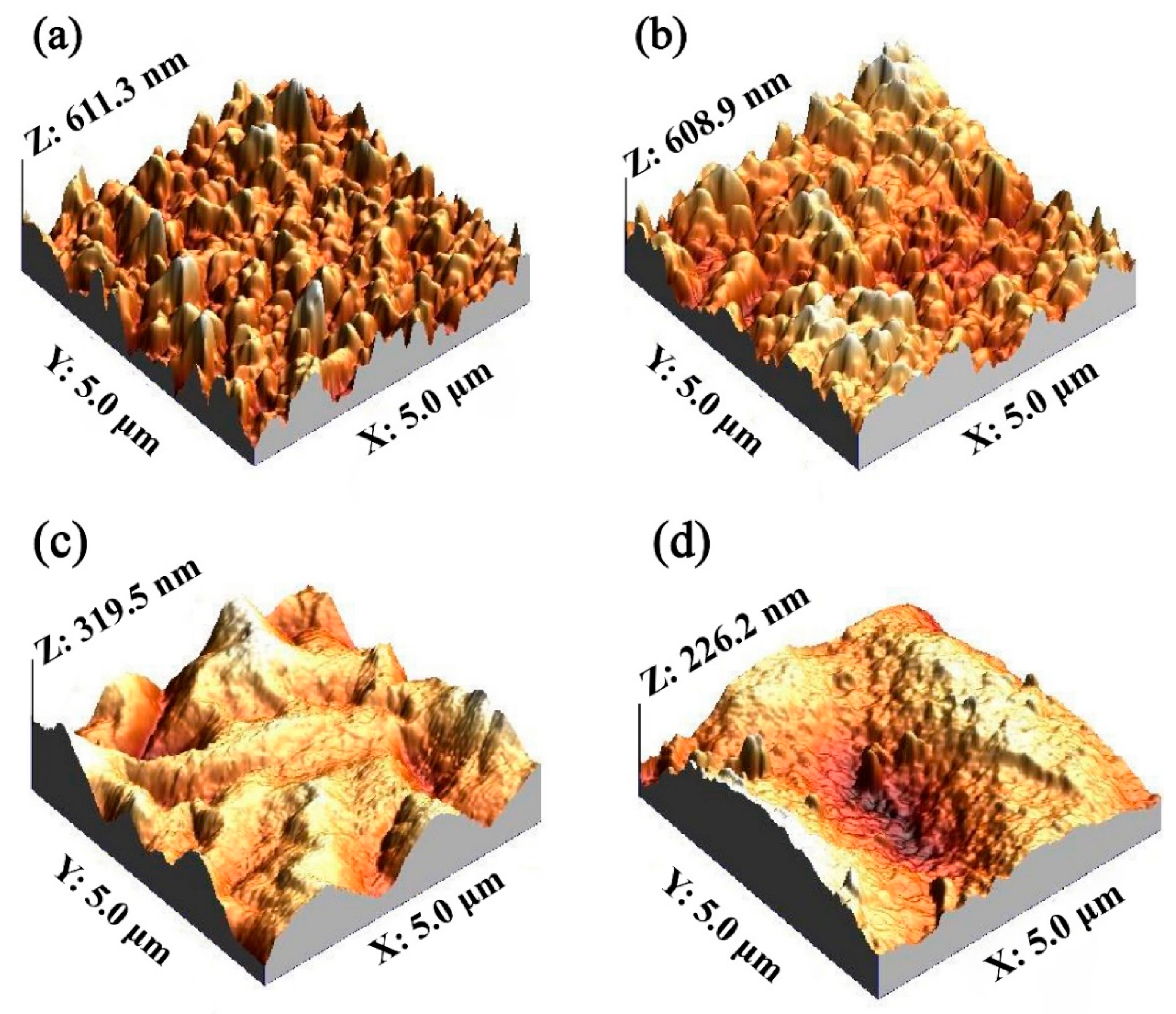 Membranes 10 00021 g003