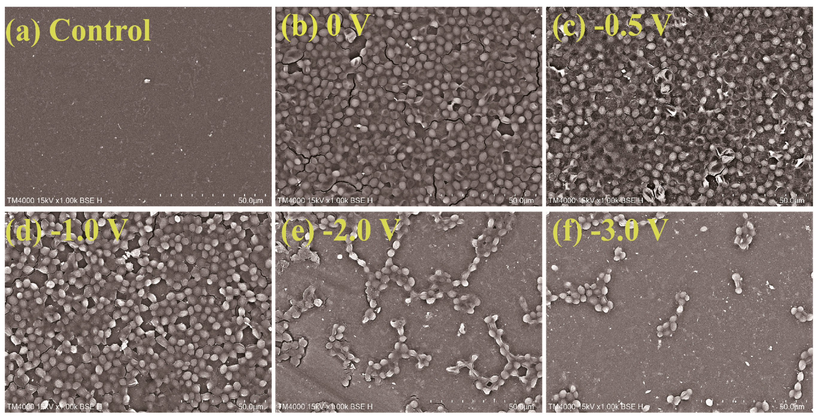 Membranes 10 00021 g008