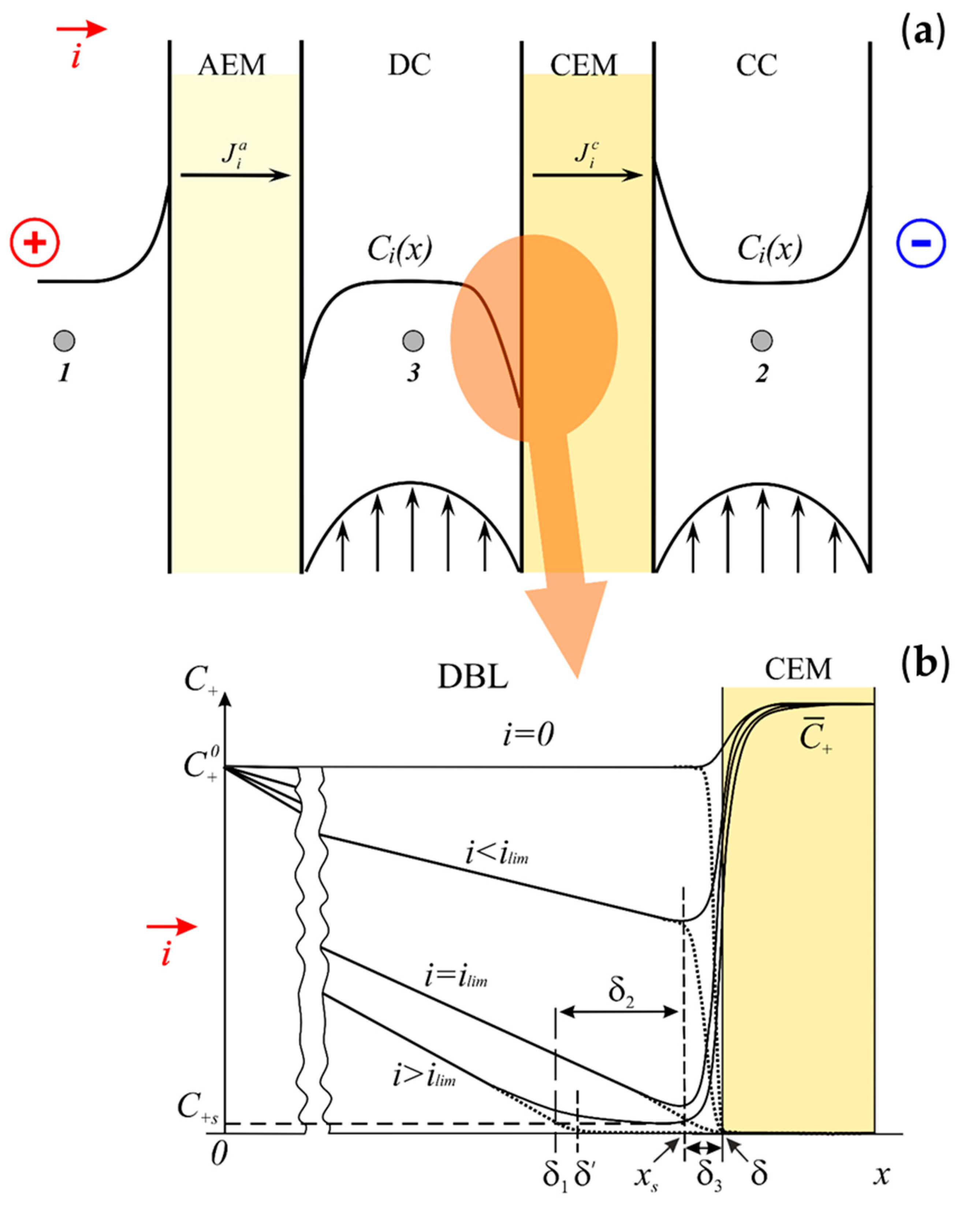 Membranes 10 00022 g001 Membranes 10 00022 g001