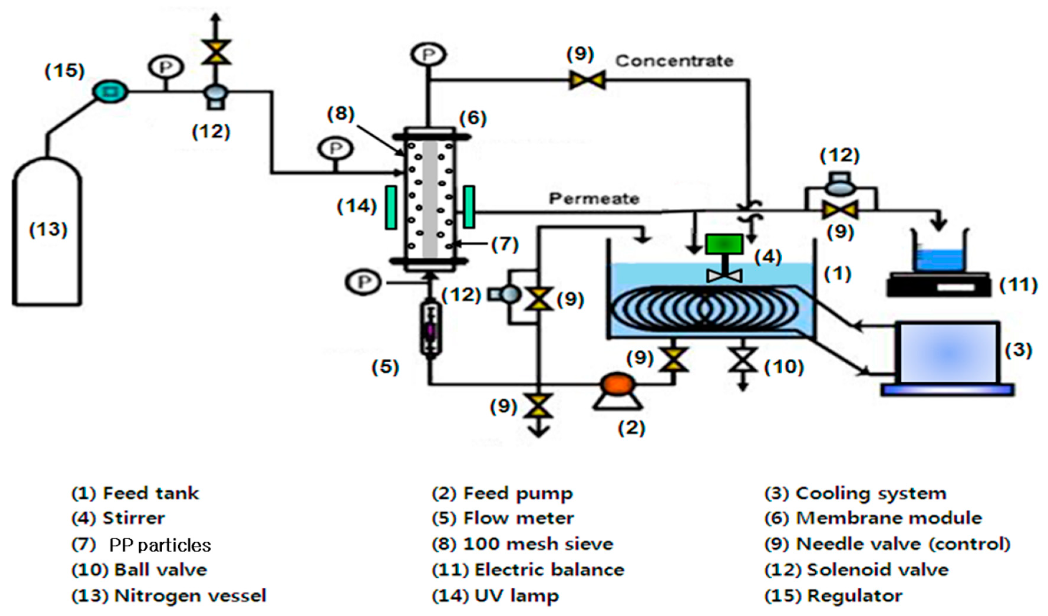 Membranes 10 00028 g001