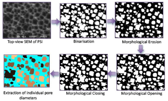Membranes 10 00033 g002