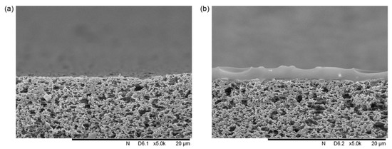 Membranes 10 00033 g003