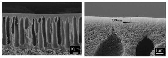 Membranes 10 00033 g004