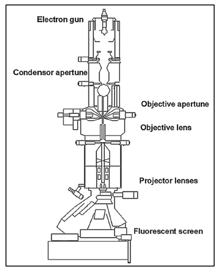 Membranes 10 00033 g006