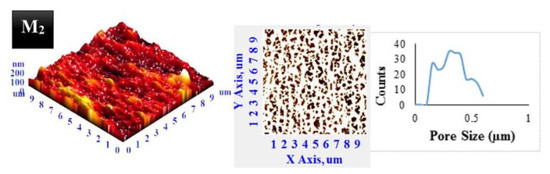 Membranes 10 00033 g011