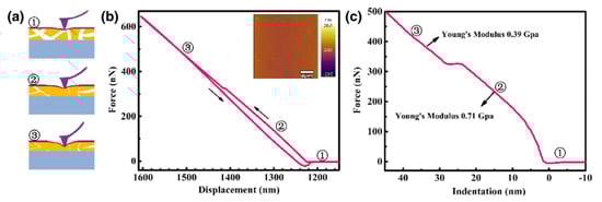 Membranes 10 00033 g012