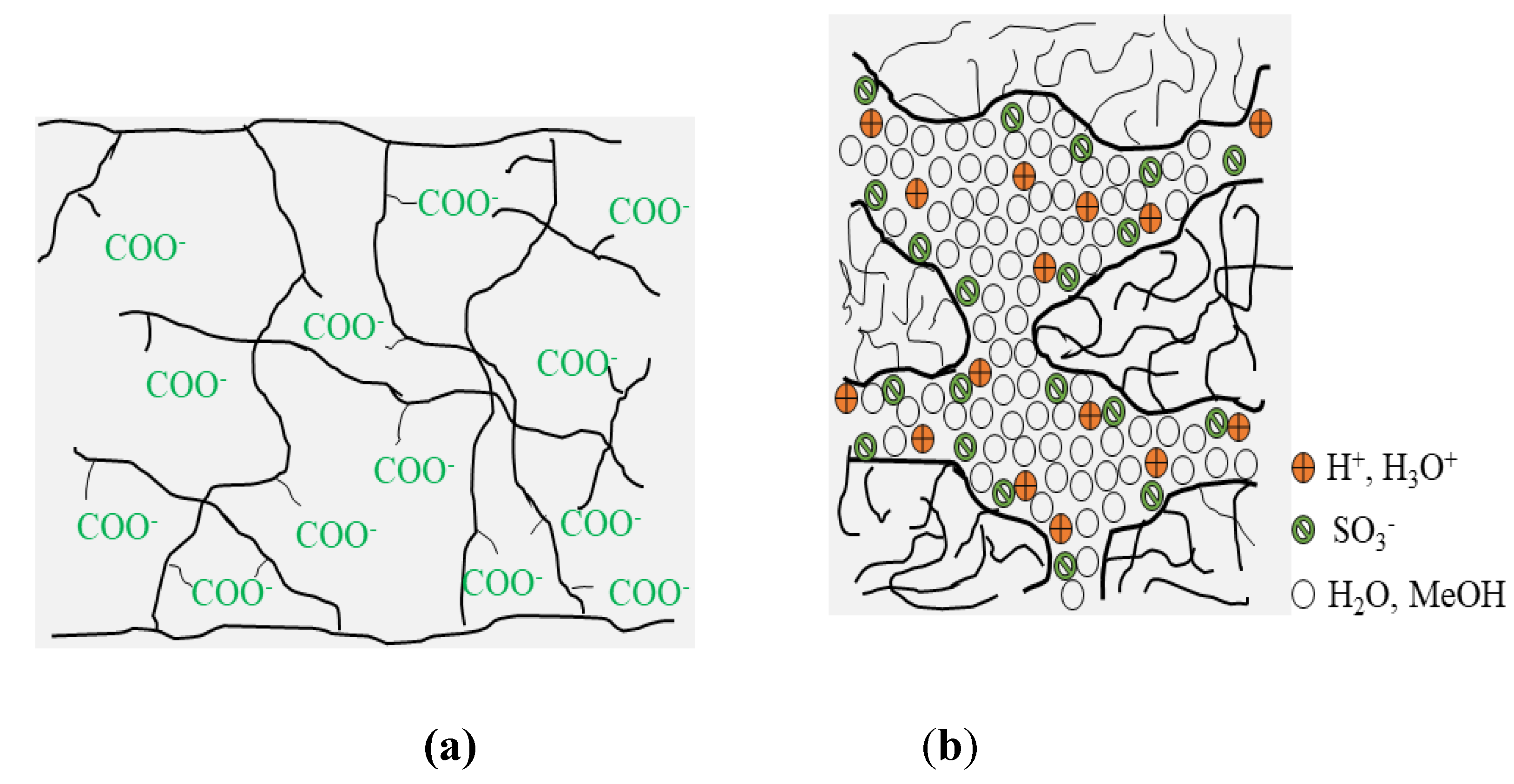 Membranes 10 00034 g003