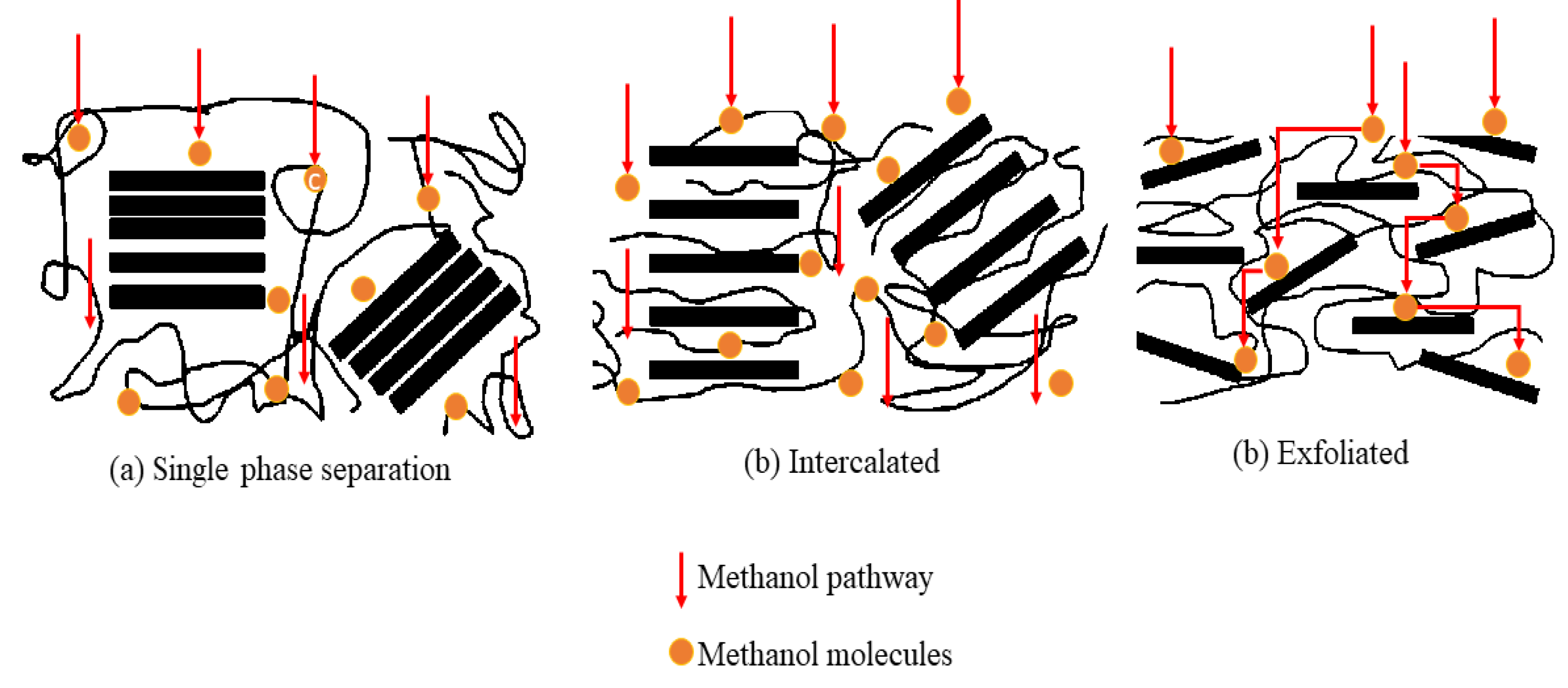 Membranes 10 00034 g010