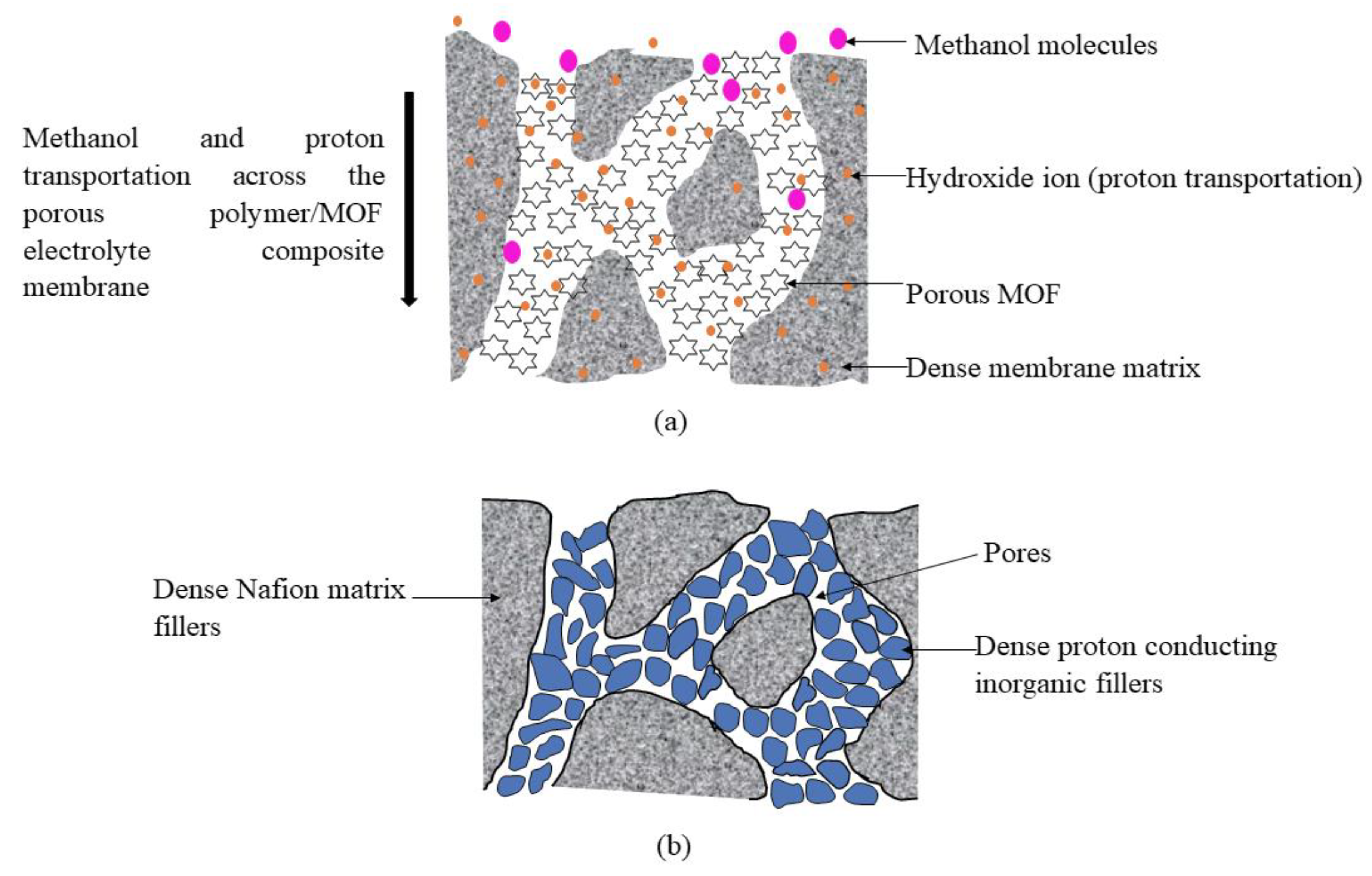 Membranes 10 00034 g012