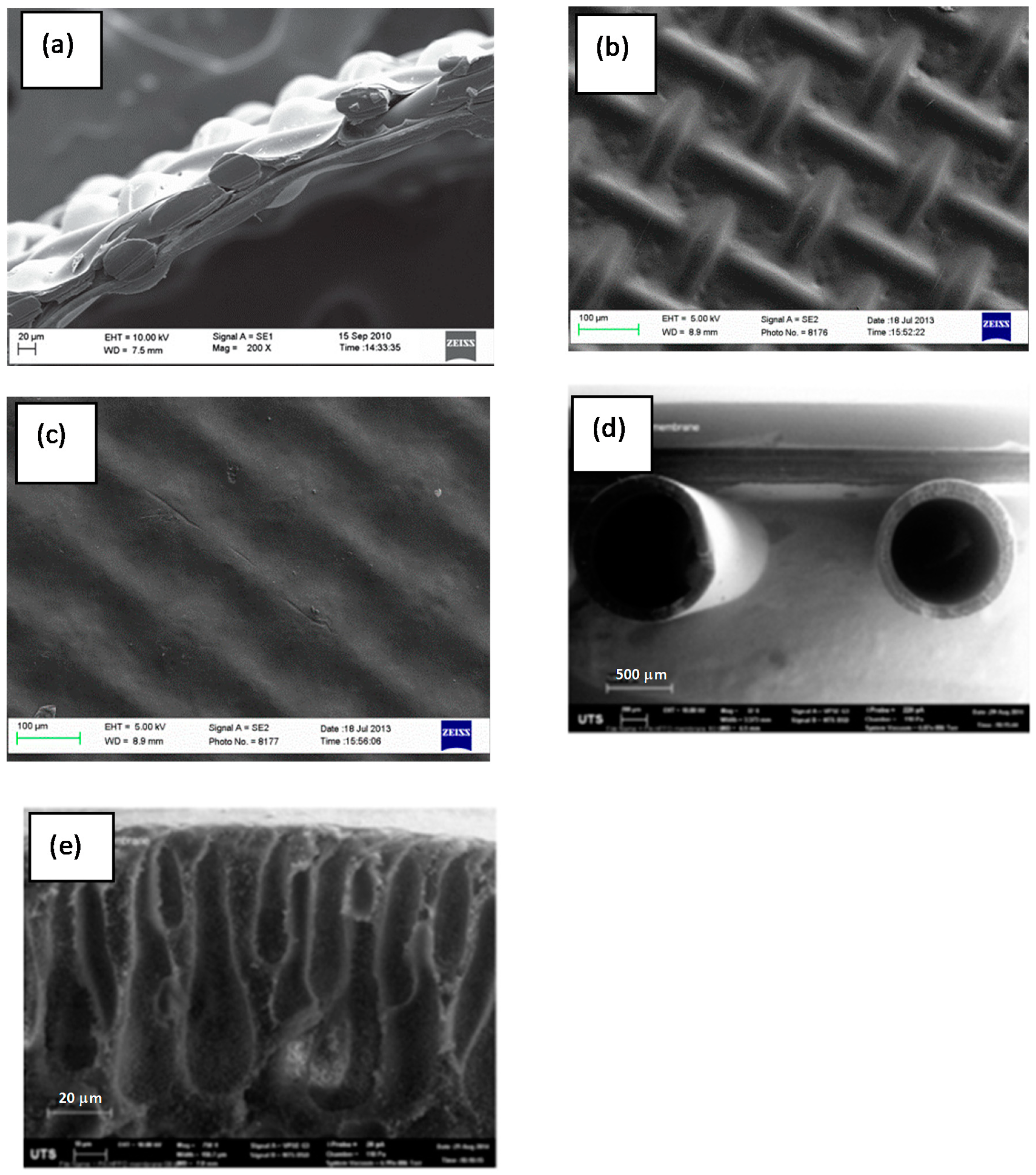 Membranes 10 00035 g001 Membranes 10 00035 g001