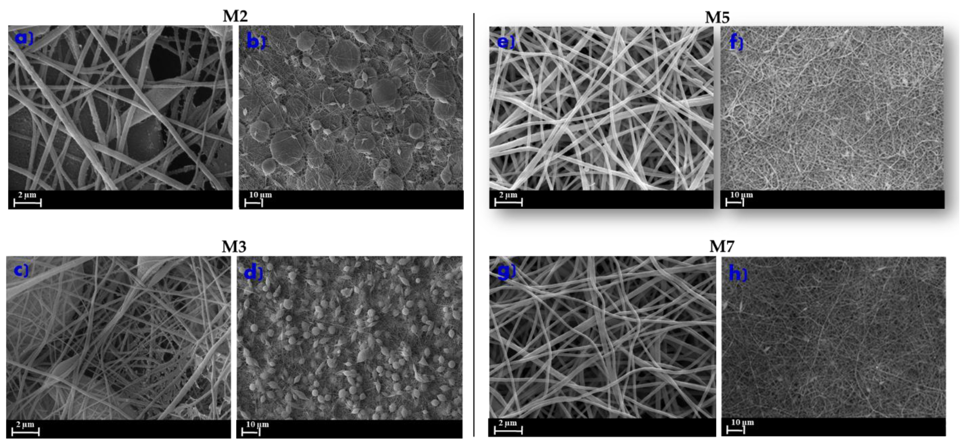 Membranes 10 00036 g003 Membranes 10 00036 g003