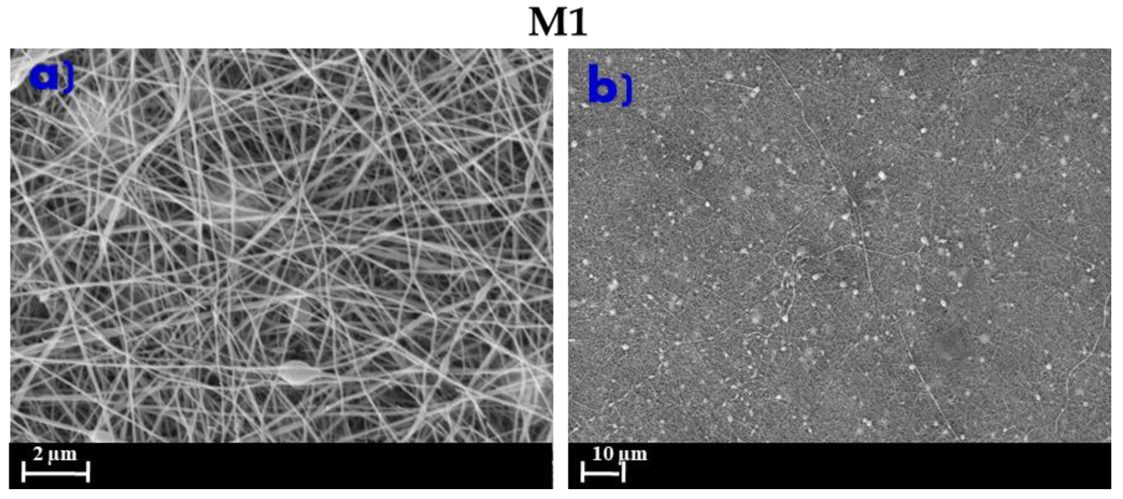 Membranes 10 00036 g004 Membranes 10 00036 g004