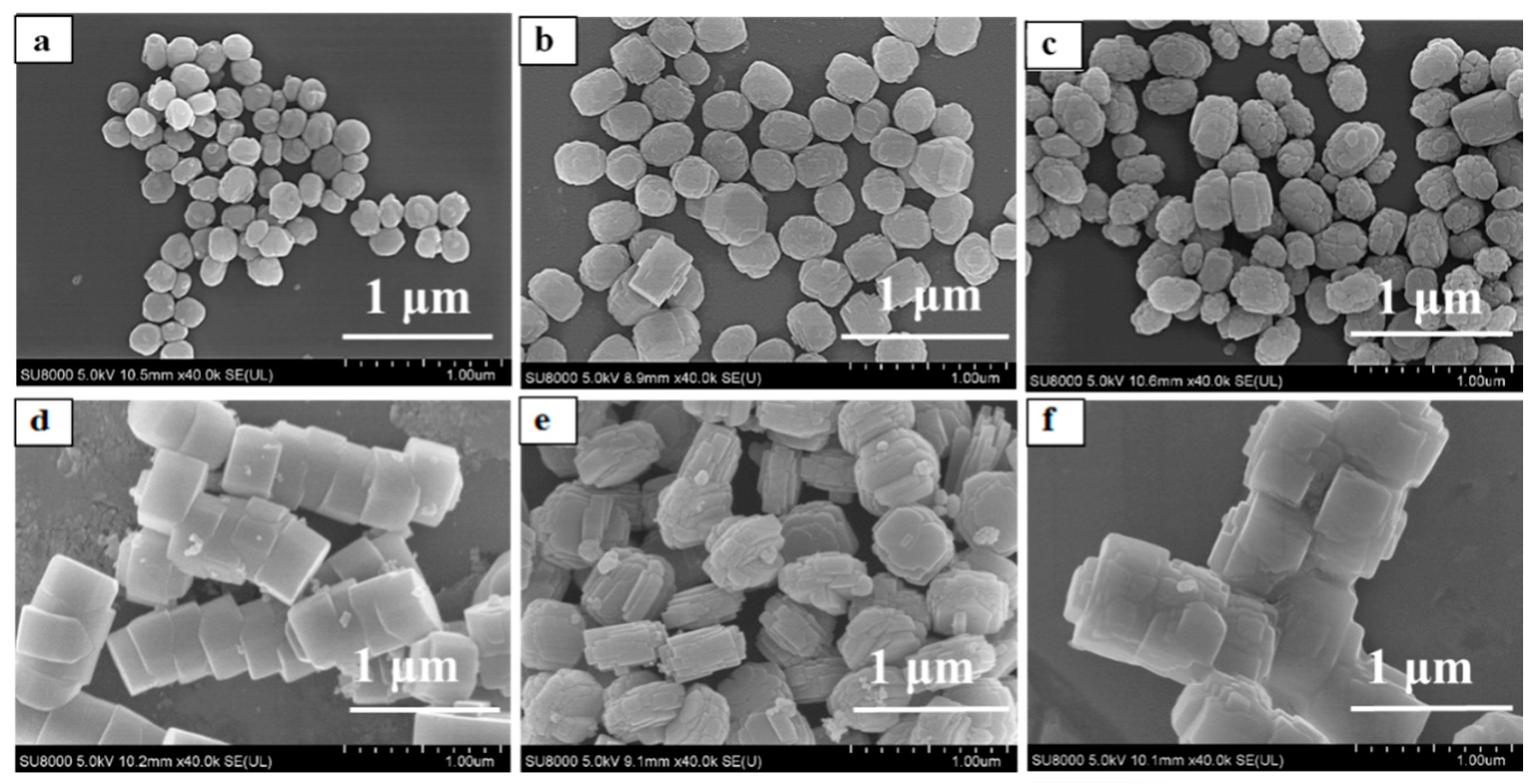 Membranes 10 00041 g001 Membranes 10 00041 g001