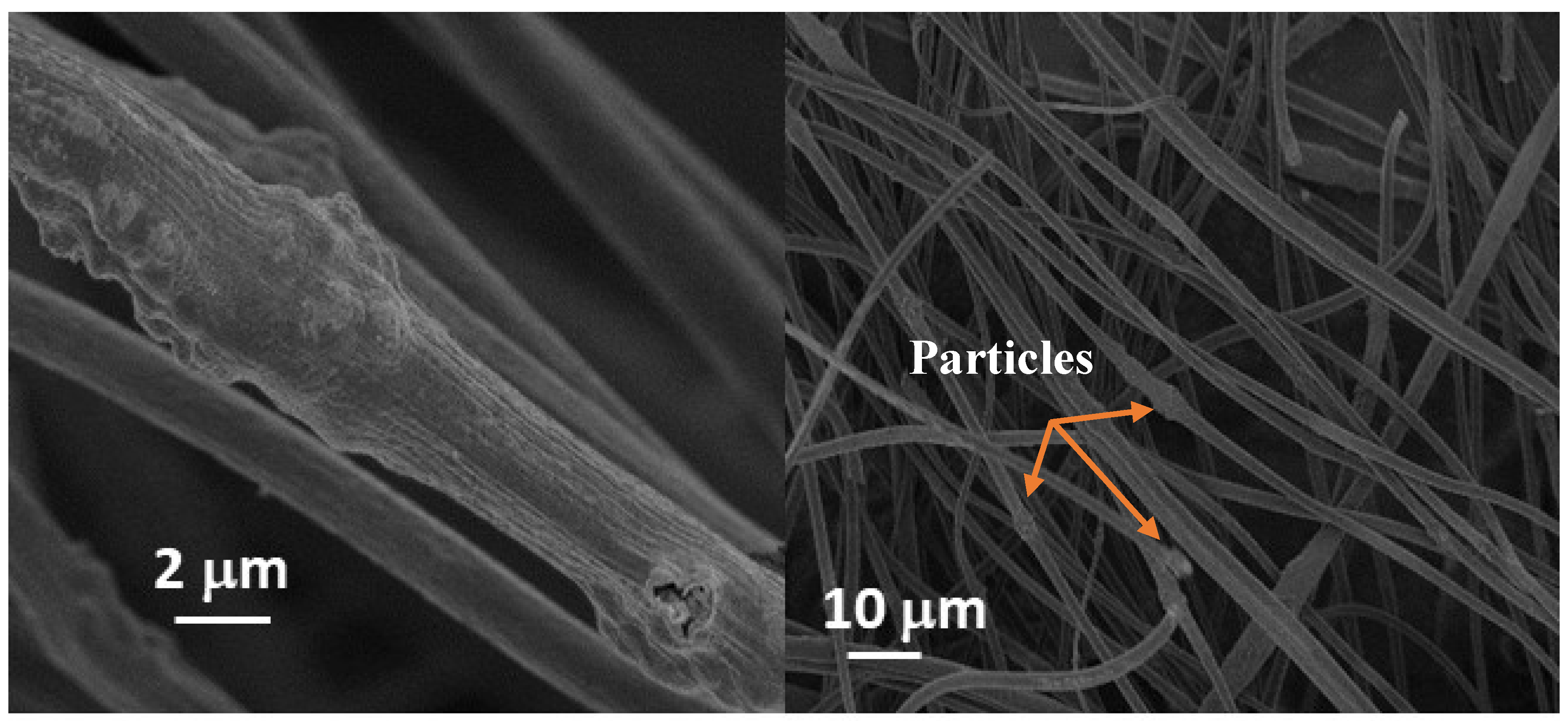 Membranes 10 00045 g001 Membranes 10 00045 g001