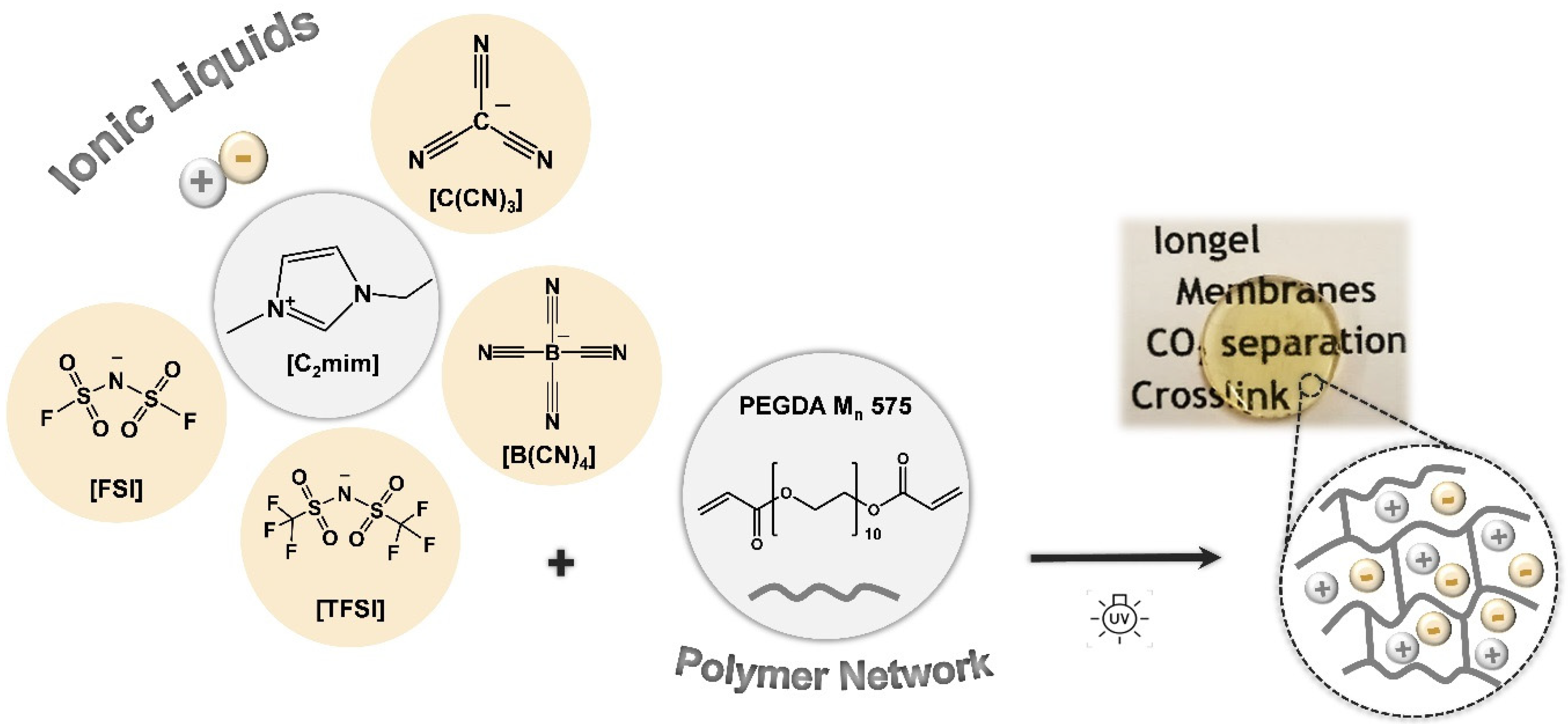 Membranes 10 00046 g001