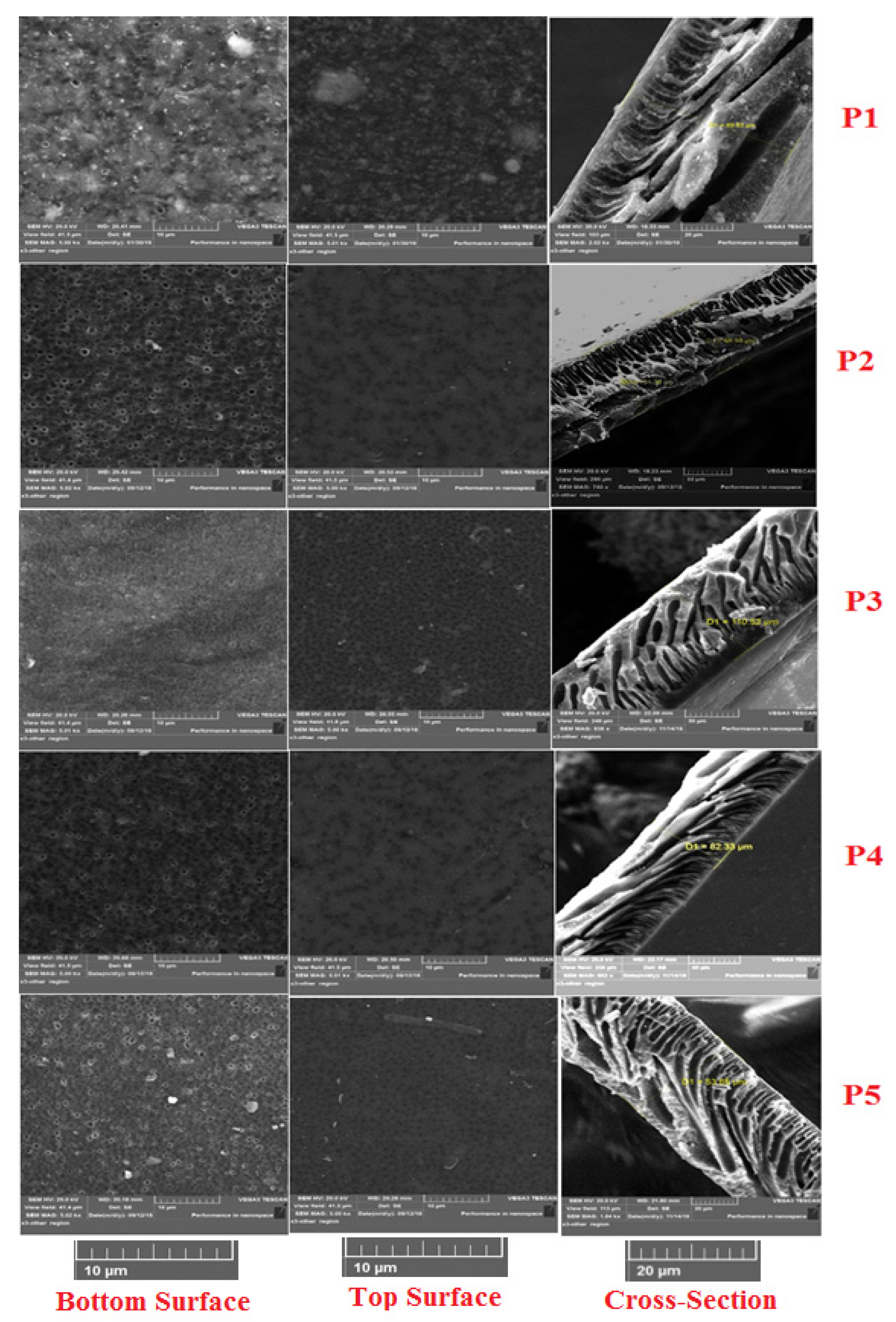 Membranes 10 00047 g001 Membranes 10 00047 g001