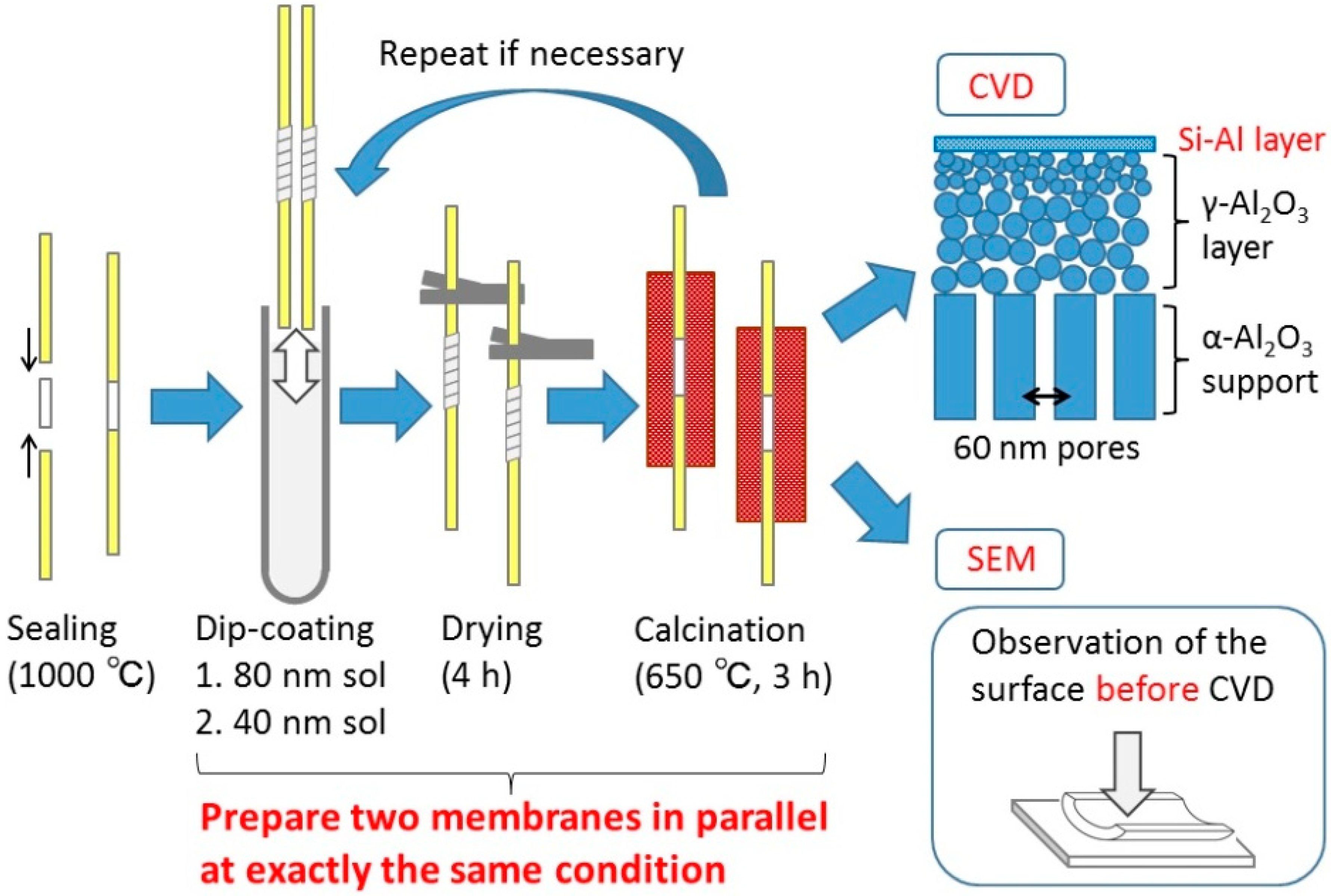 Membranes 10 00050 g001