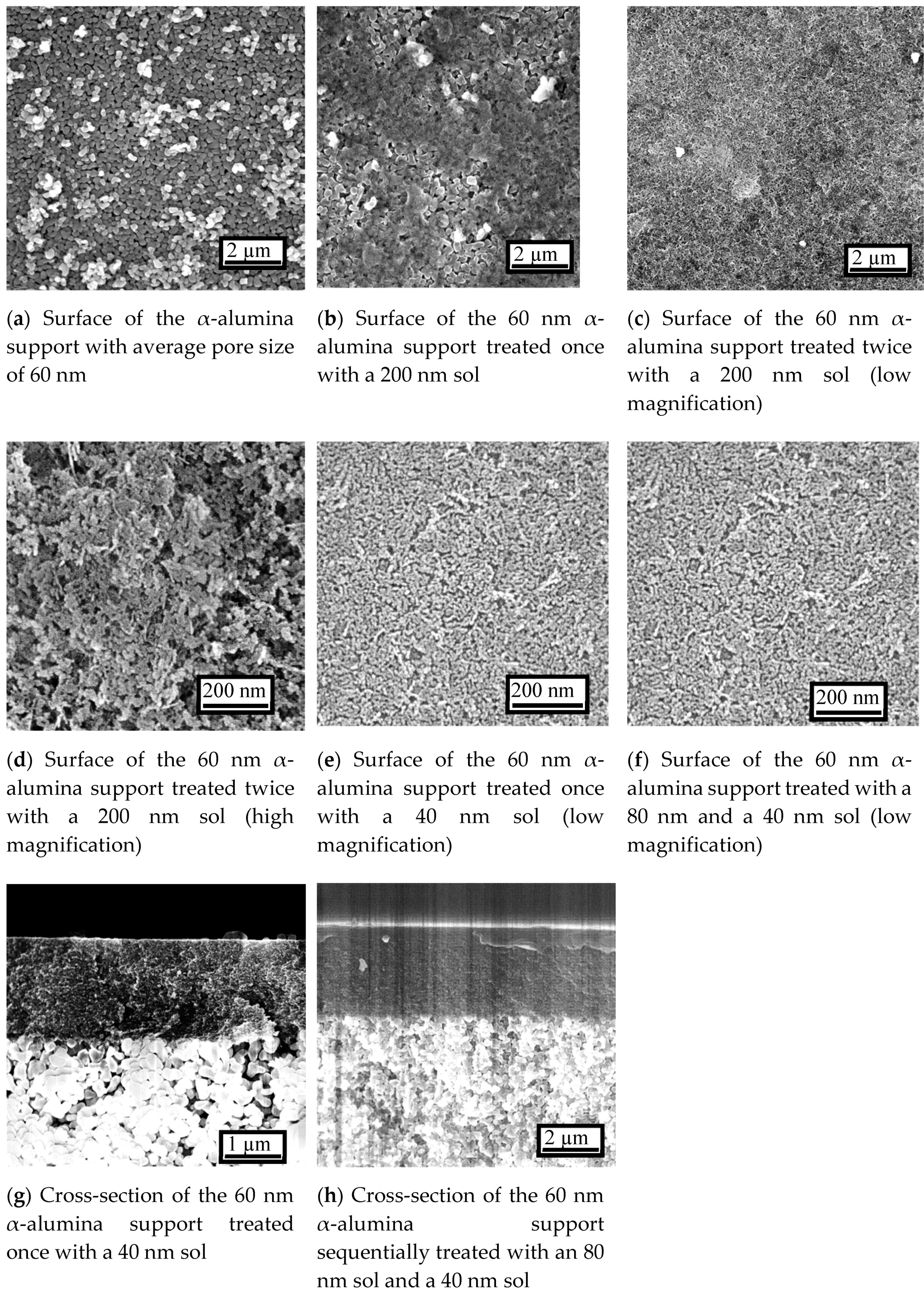 Membranes 10 00050 g004