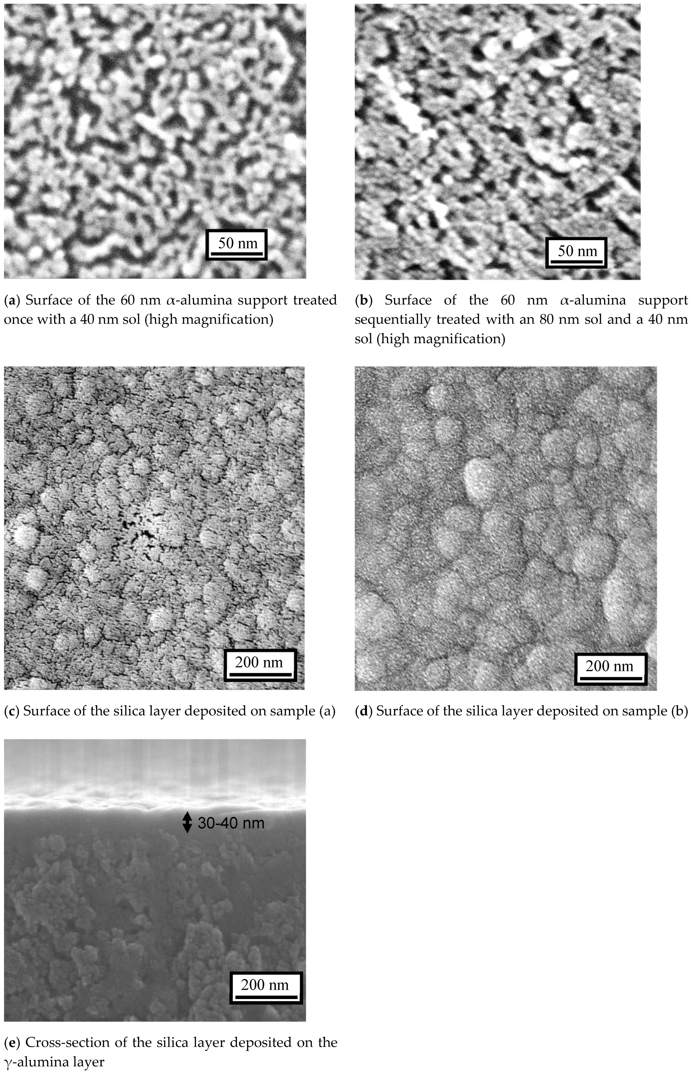 Membranes 10 00050 g005