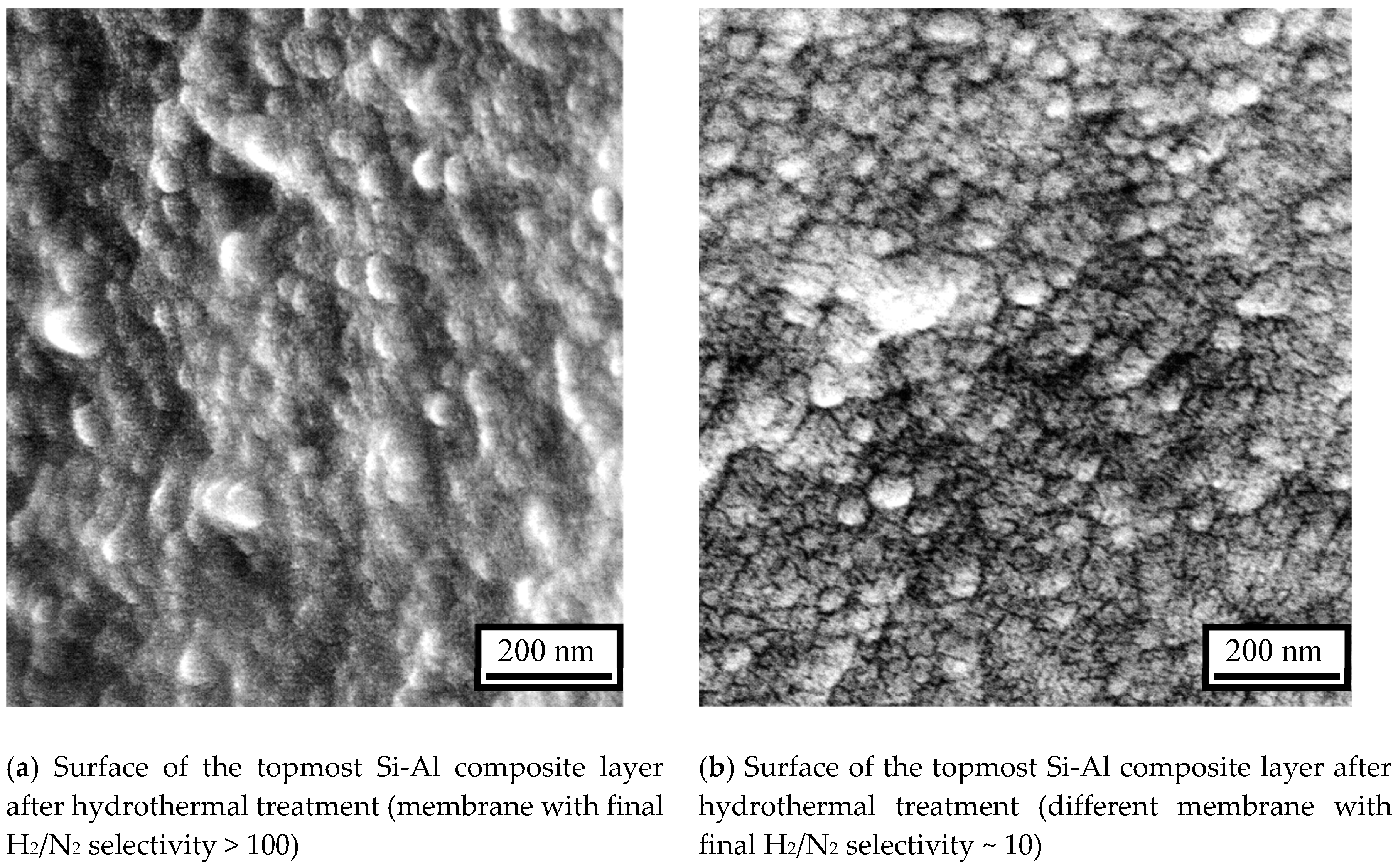 Membranes 10 00050 g013