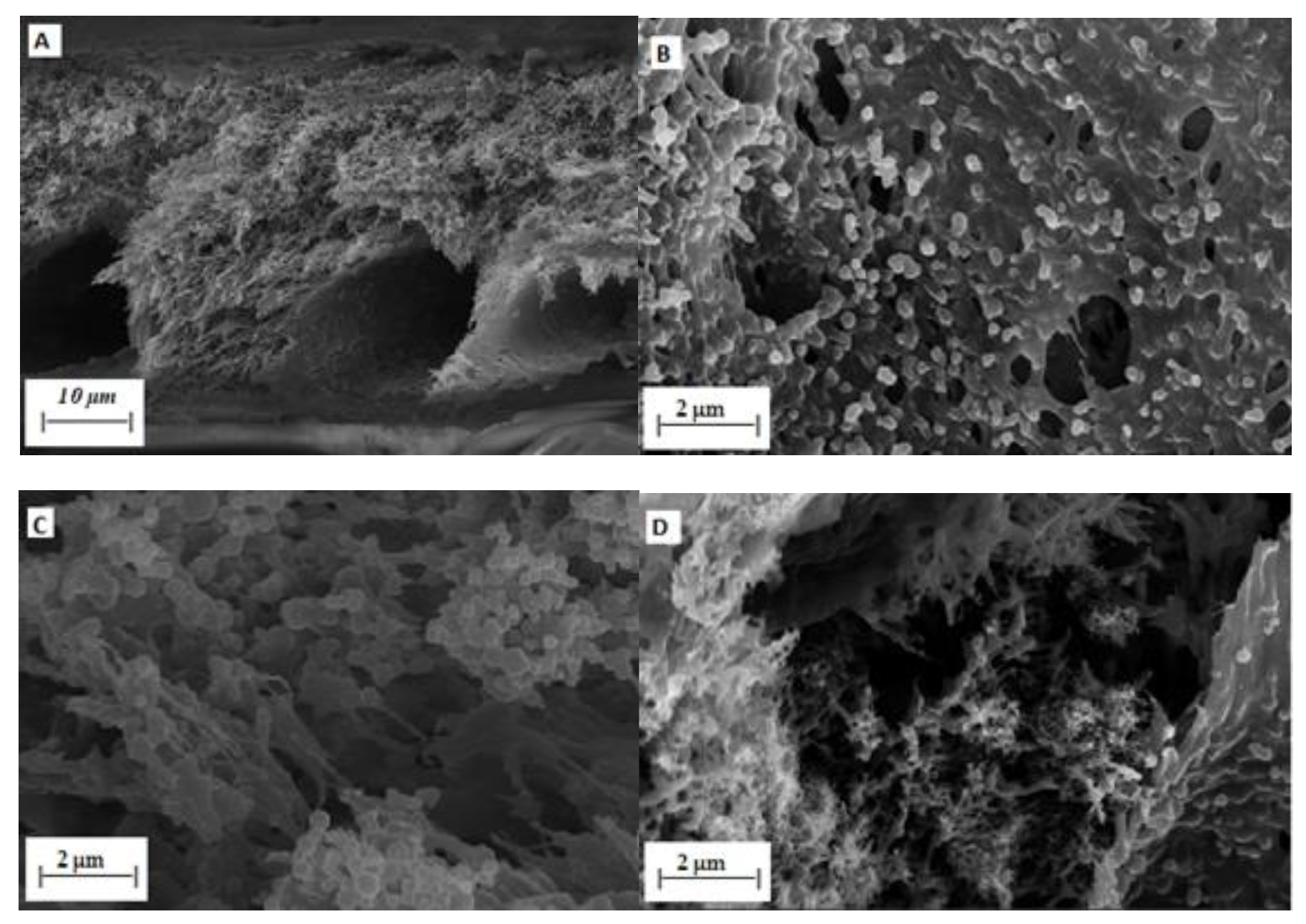 Membranes 10 00054 g005a Membranes 10 00054 g005a