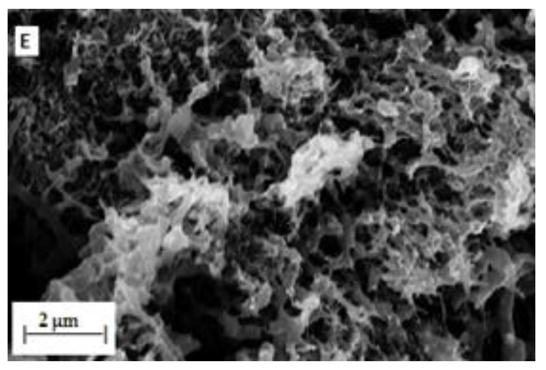 Membranes 10 00054 g005b Membranes 10 00054 g005b