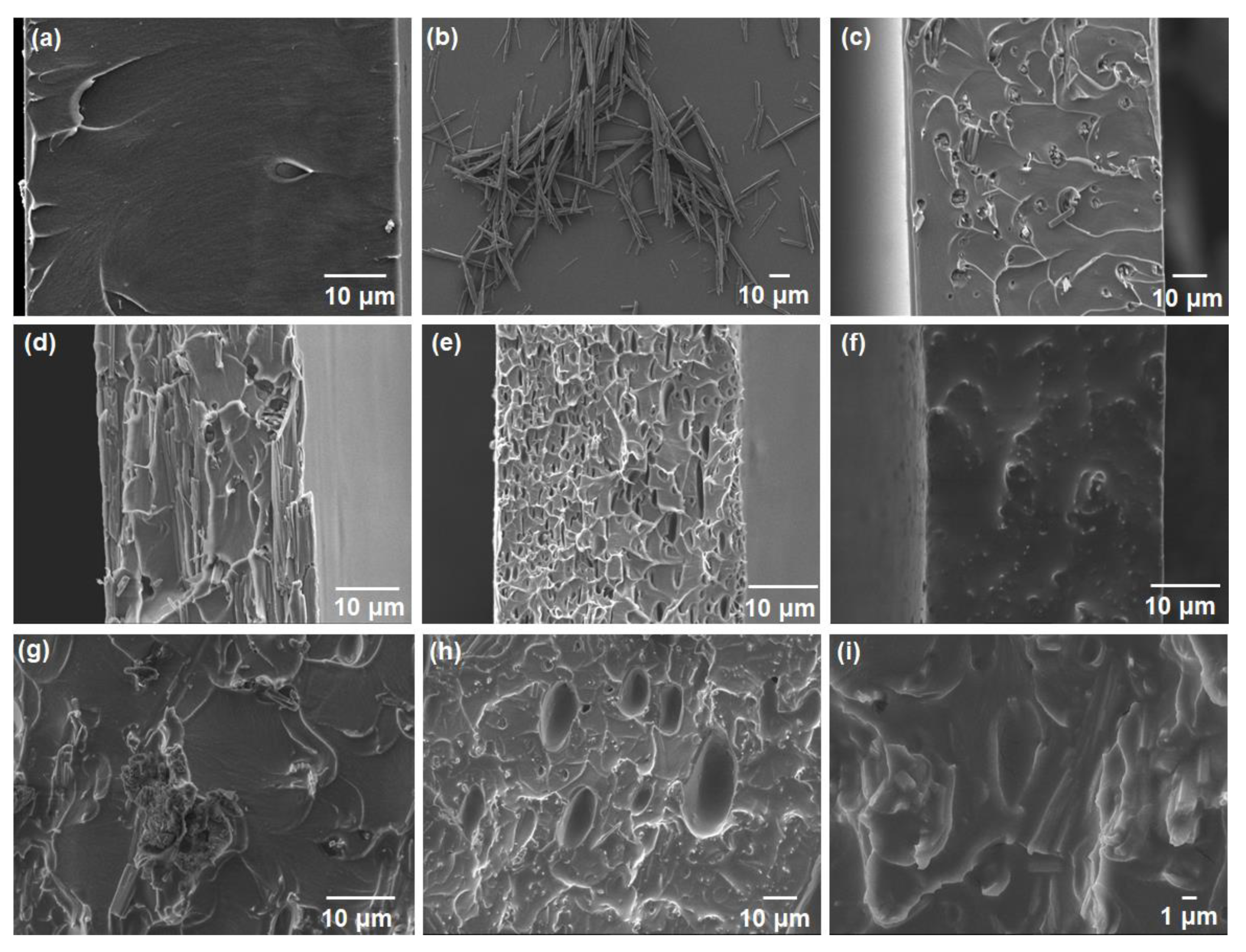 Membranes 10 00075 g004