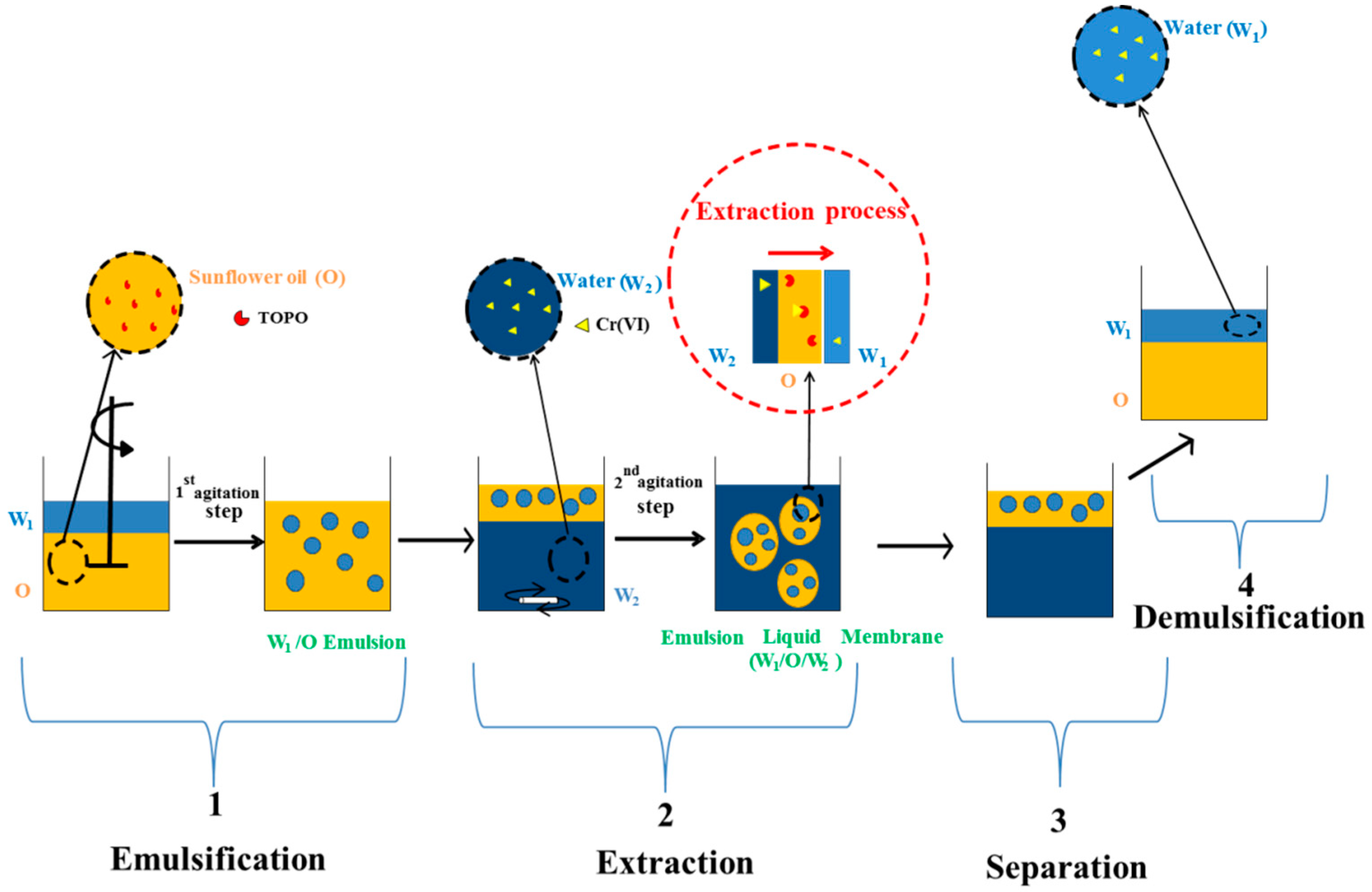 Membranes 10 00076 g001
