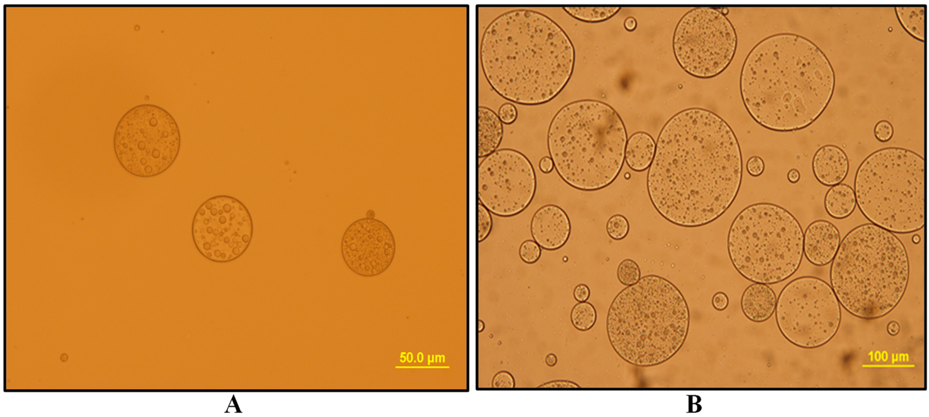 Membranes 10 00076 g006a