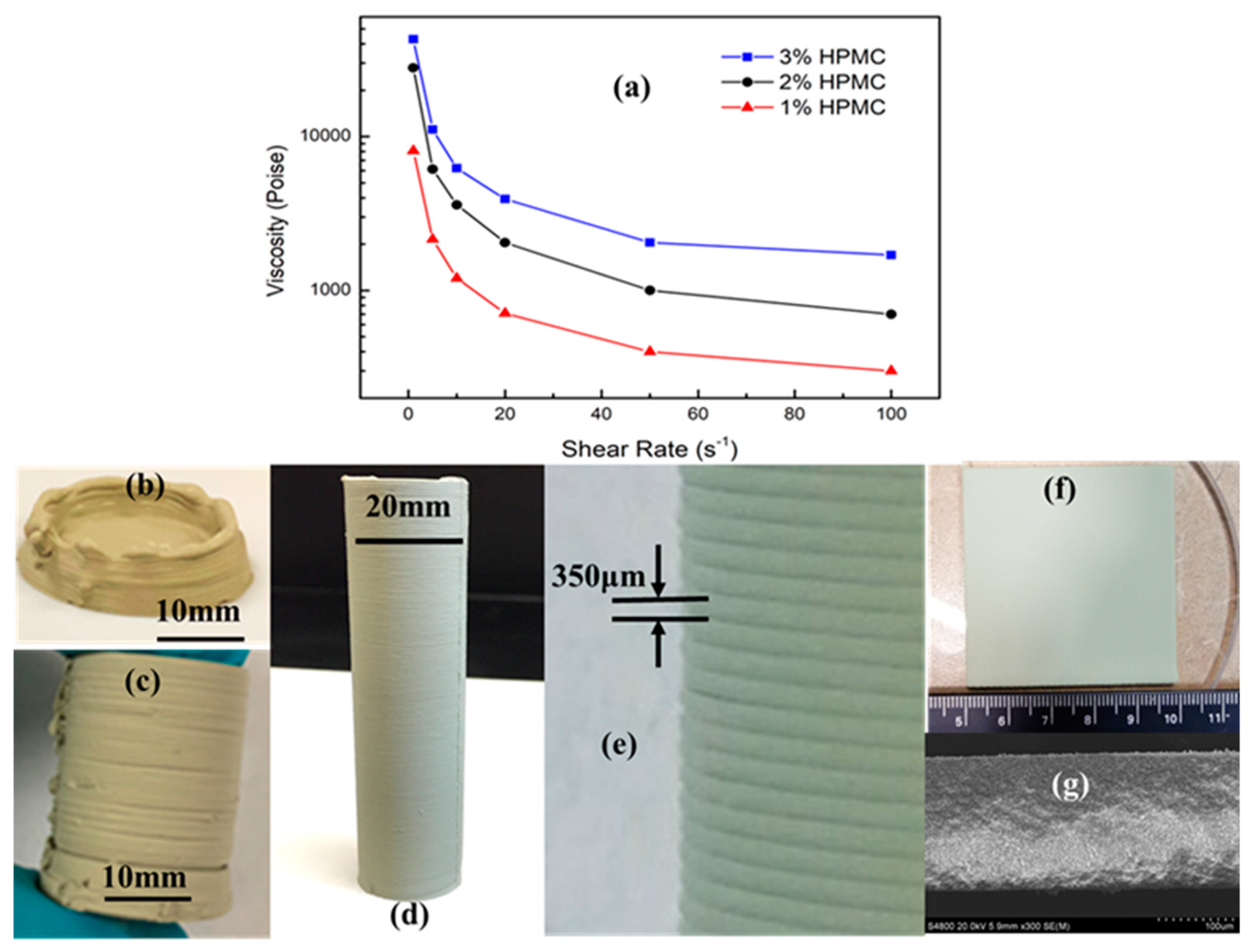 Membranes 10 00098 g002
