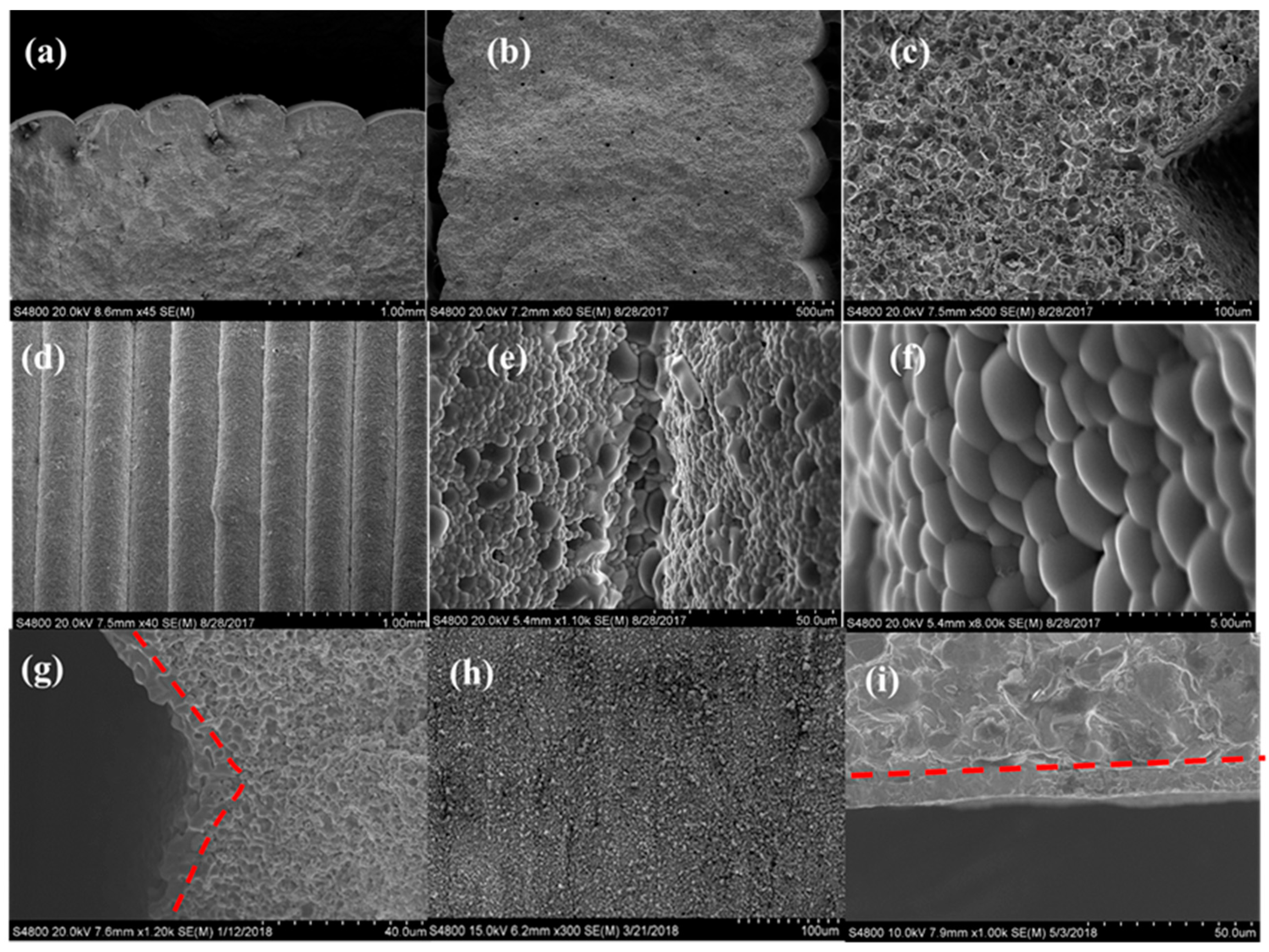 Membranes 10 00098 g004