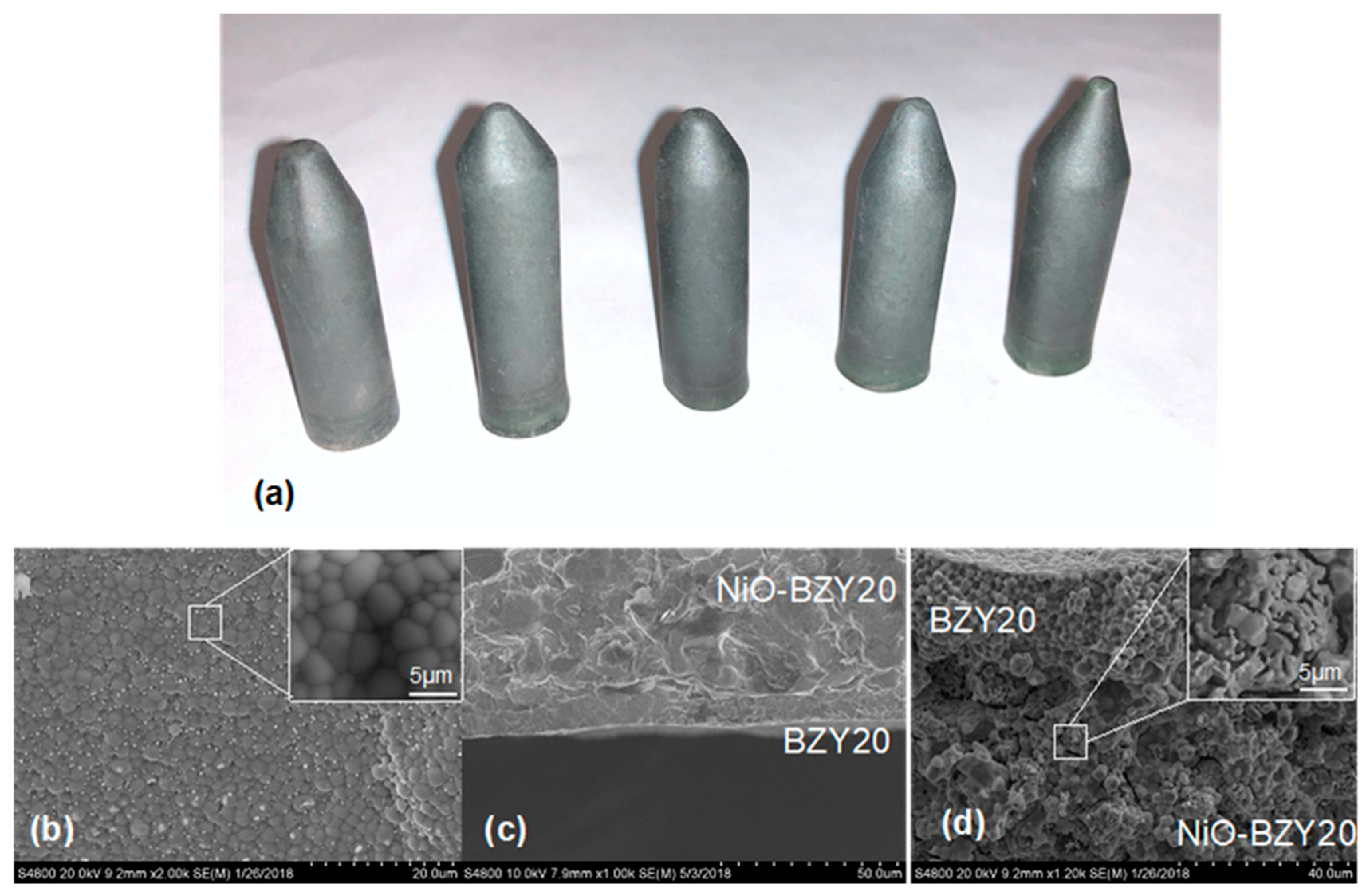 Membranes 10 00098 g007