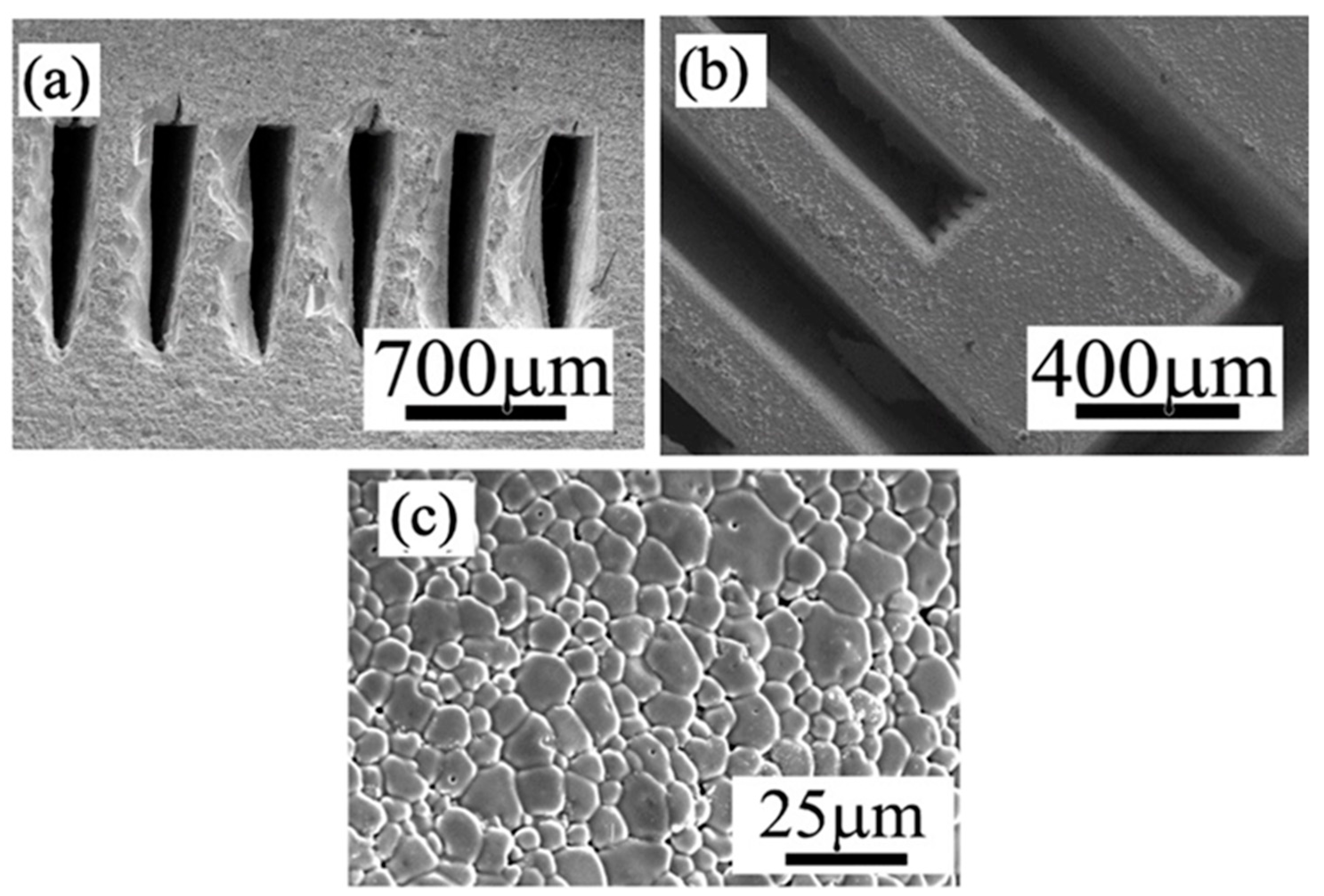 Membranes 10 00098 g008