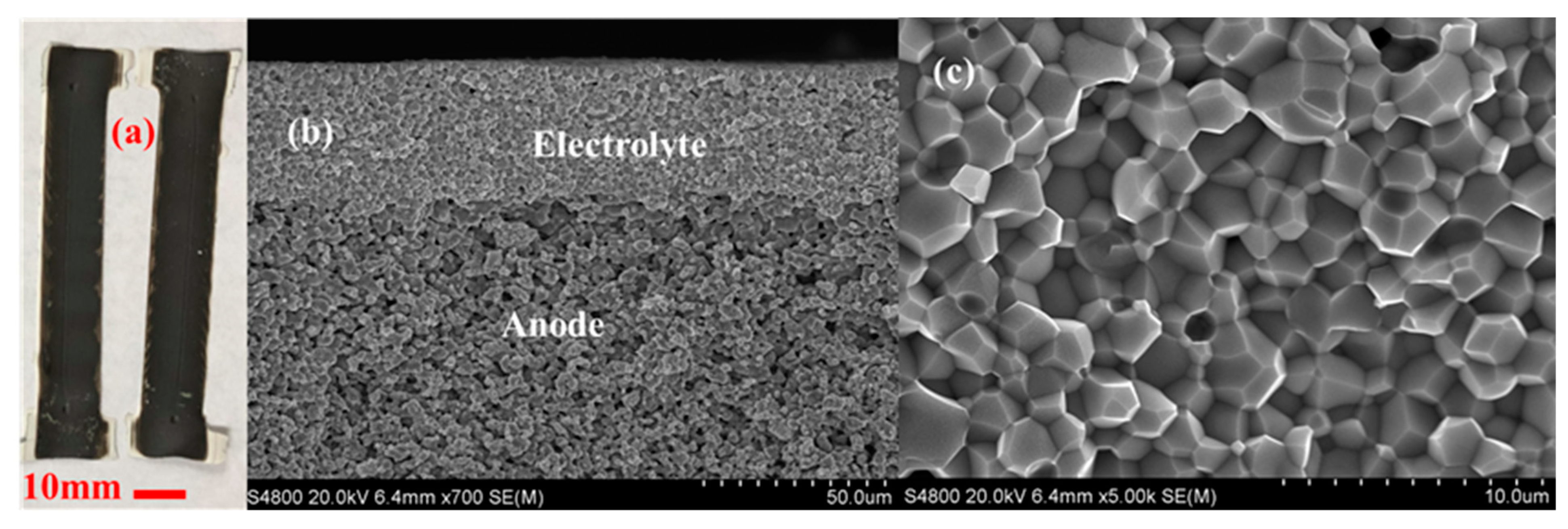 Membranes 10 00098 g010