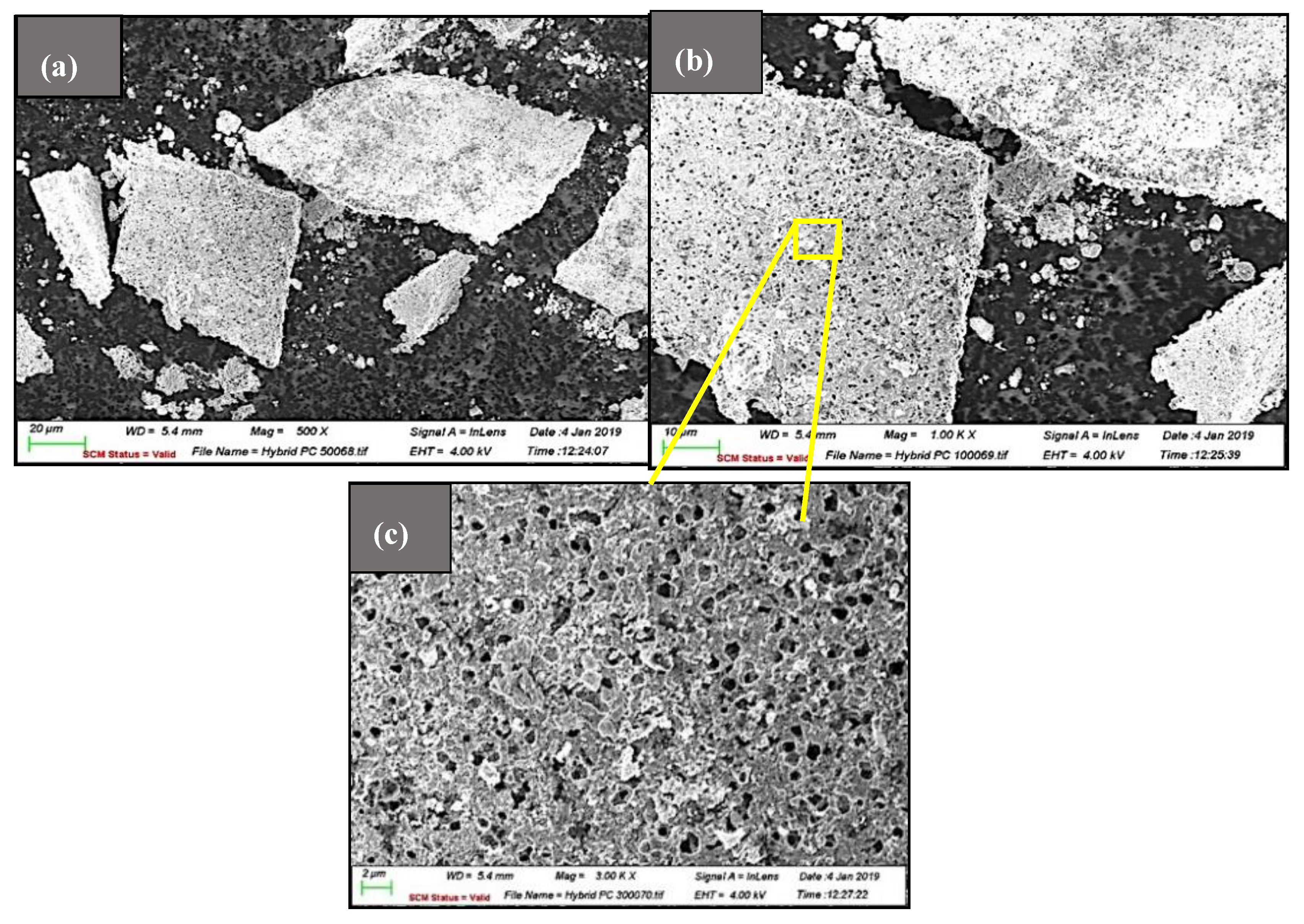 Membranes 10 00106 g003