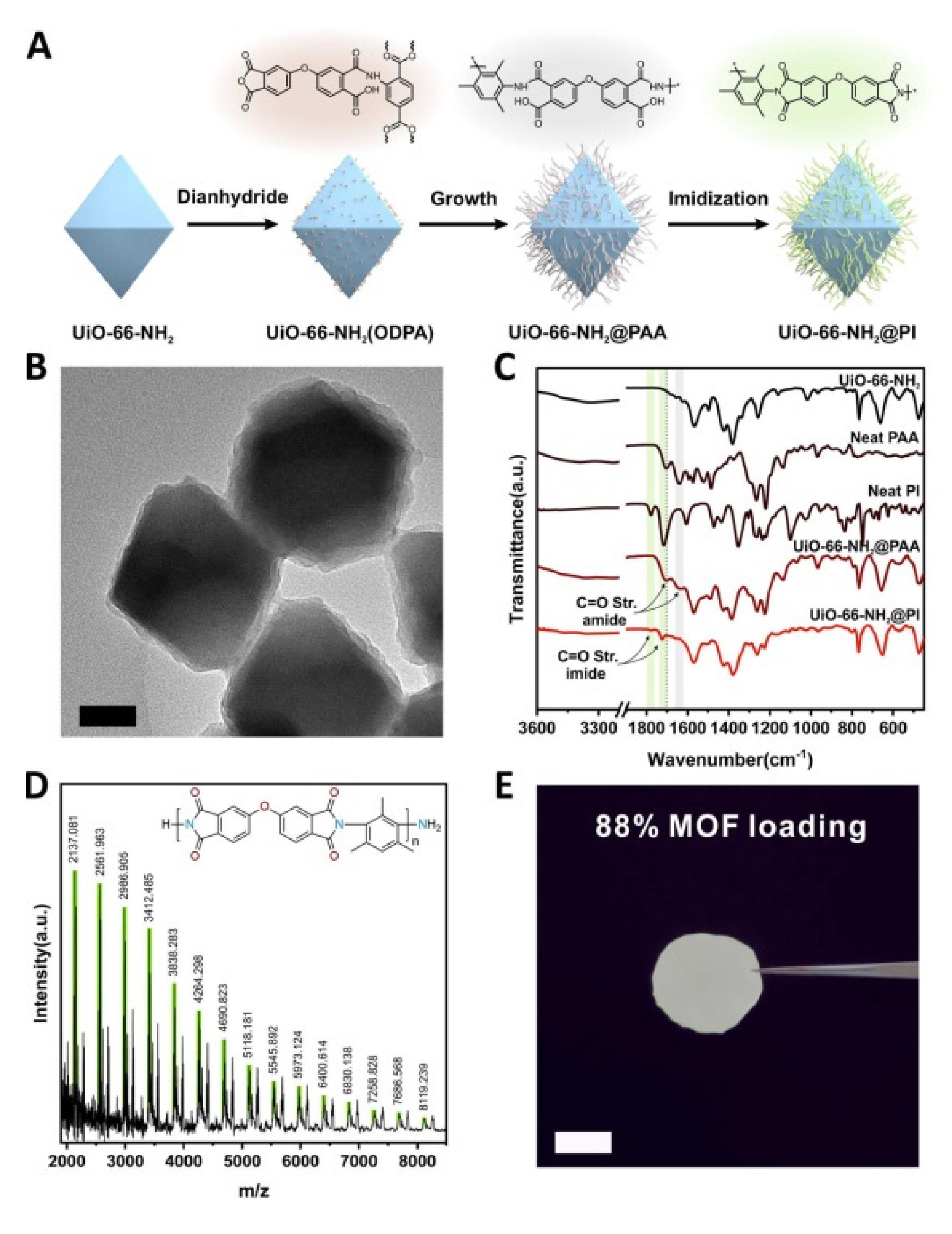 Membranes 10 00107 g016 Membranes 10 00107 g016