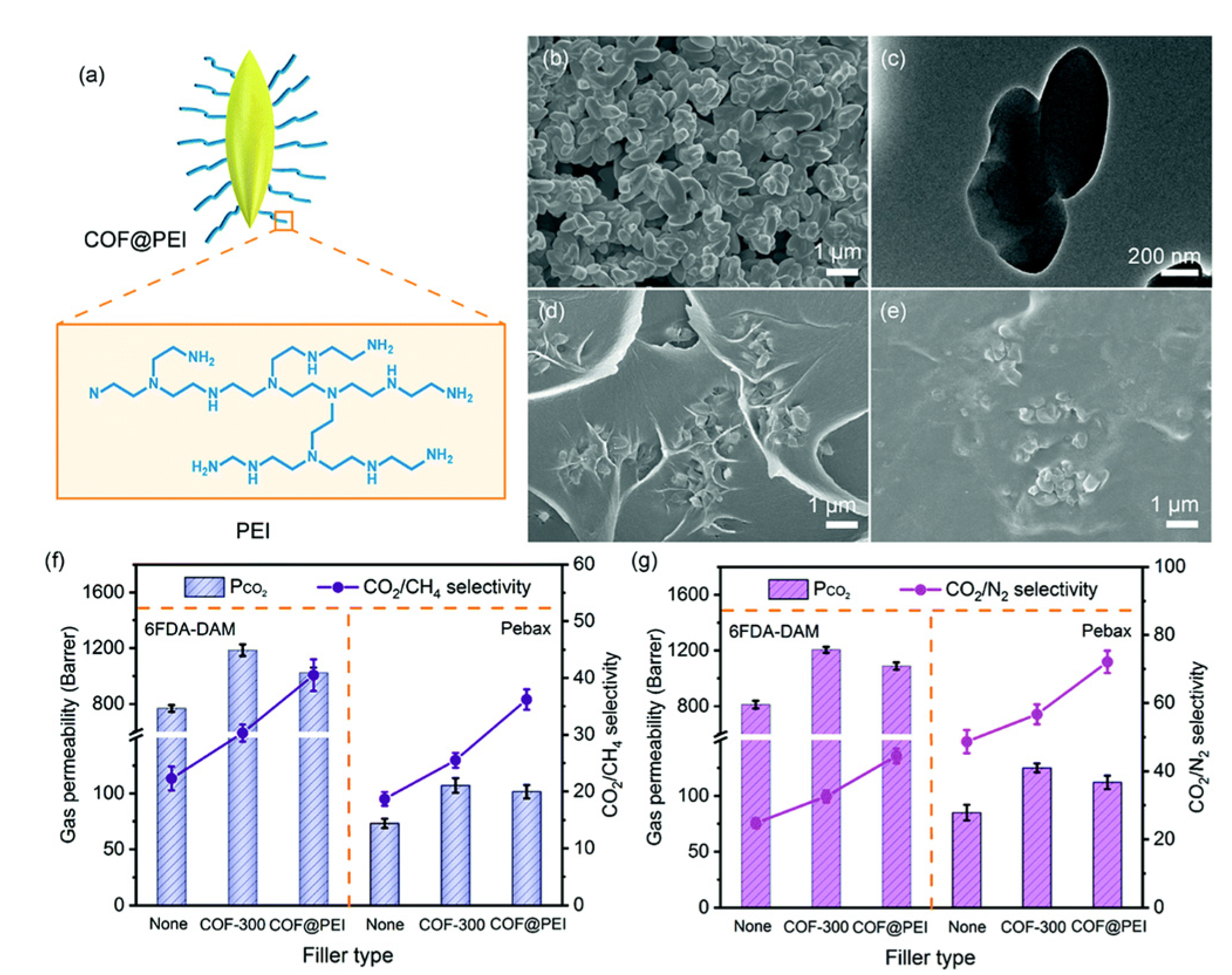 Membranes 10 00107 g023 Membranes 10 00107 g023