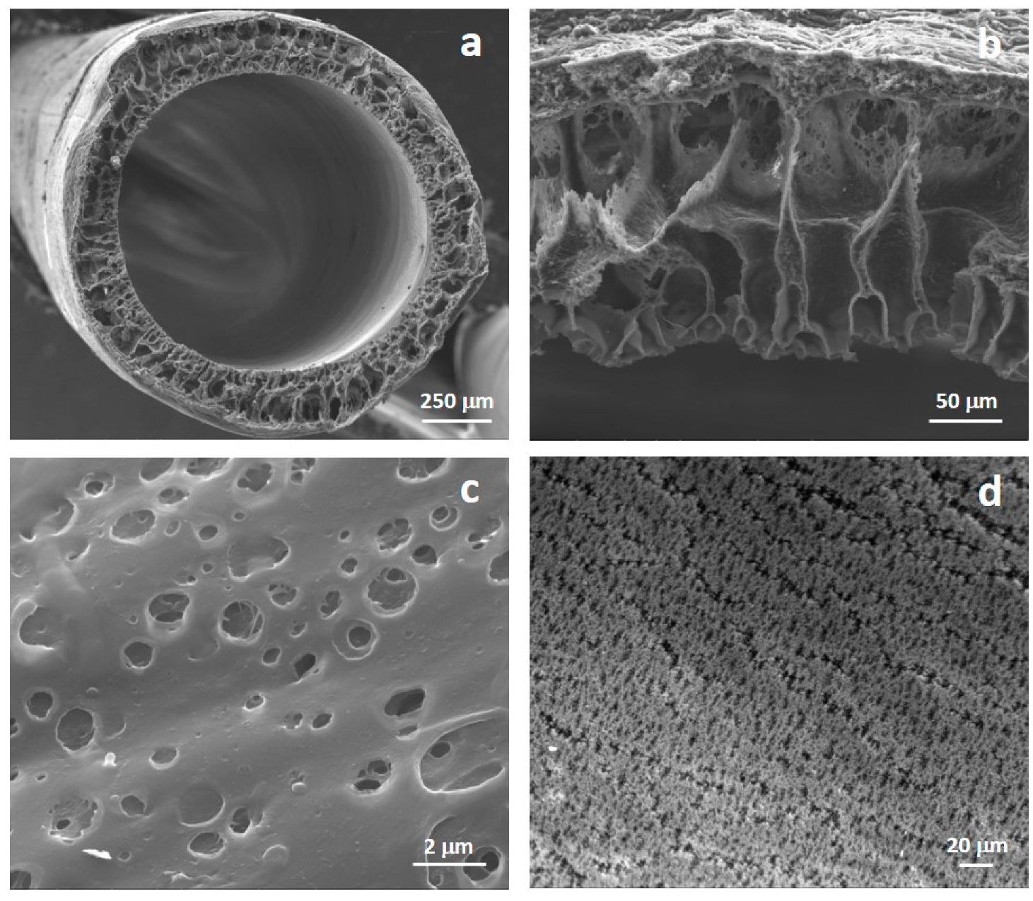 Membranes 10 00112 g002