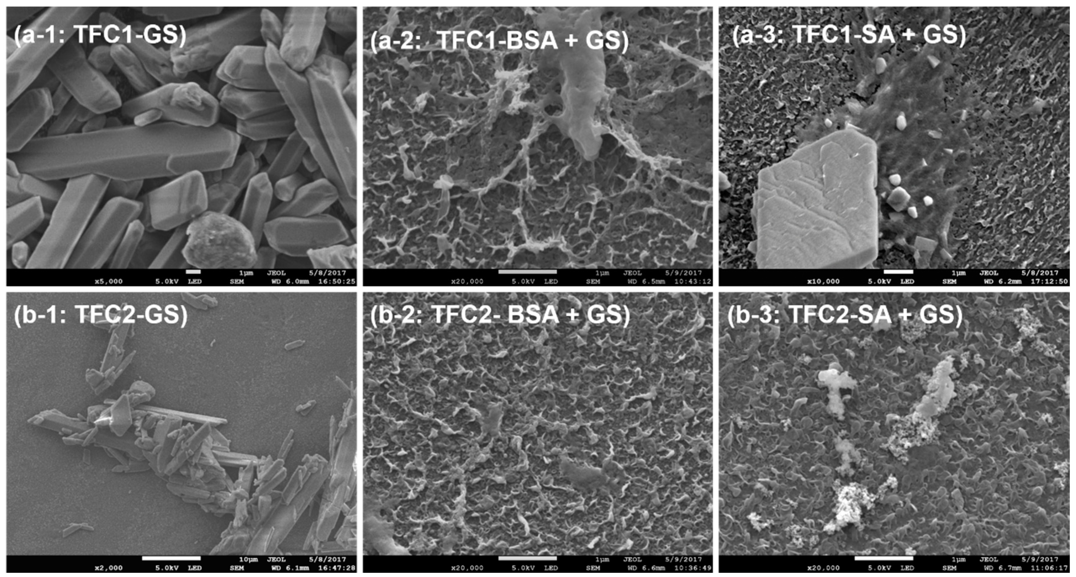 Membranes 10 00115 g003