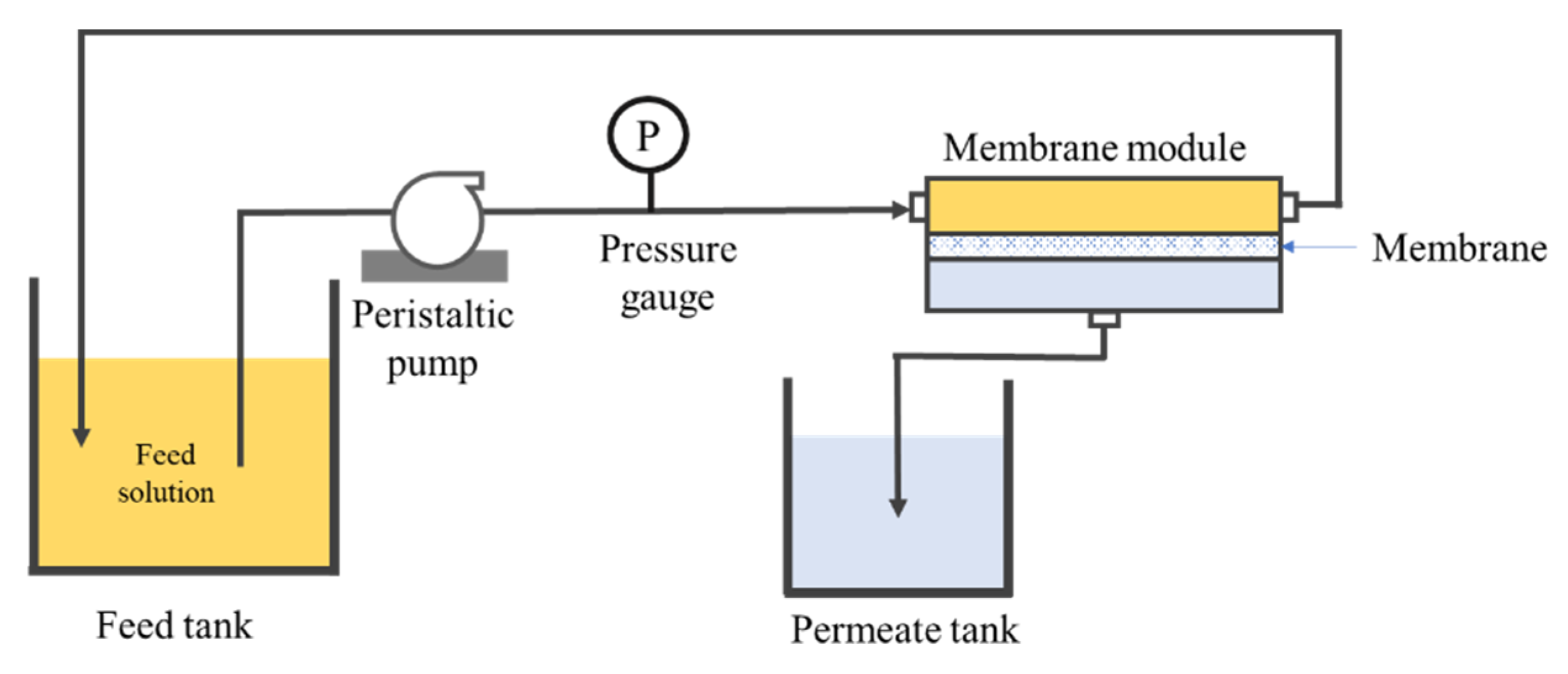 Membranes 10 00121 g002