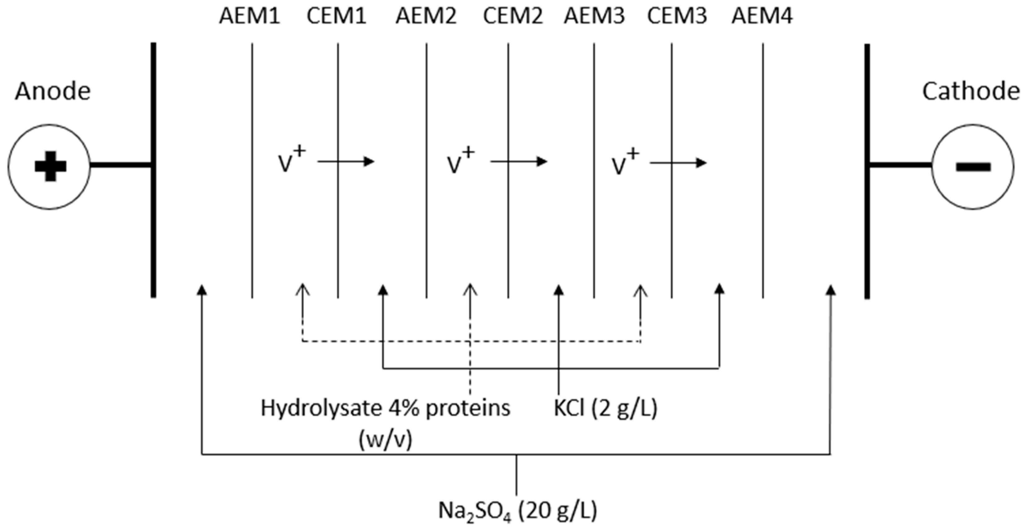 Membranes 10 00127 g001