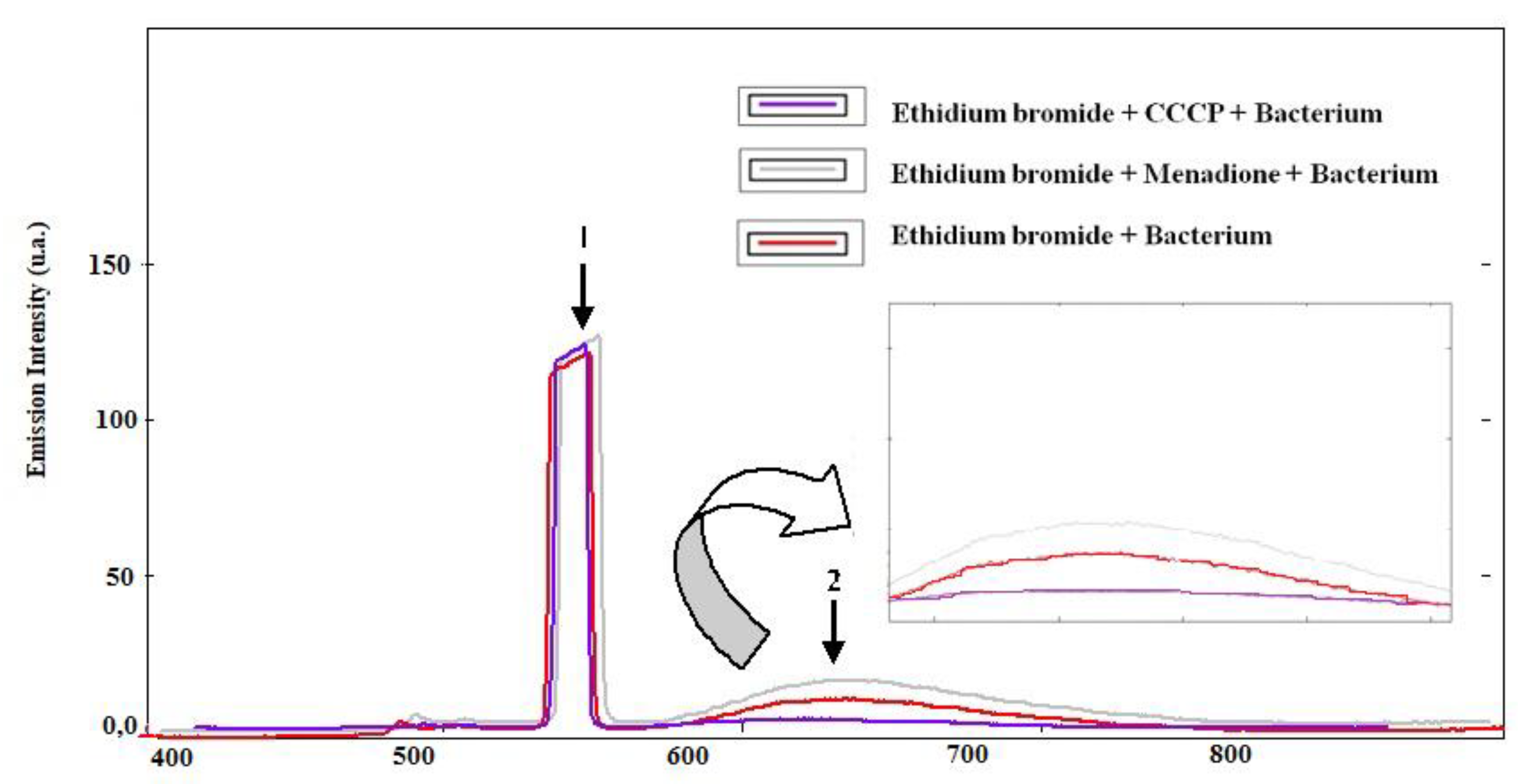 Membranes 10 00130 g002 Membranes 10 00130 g002